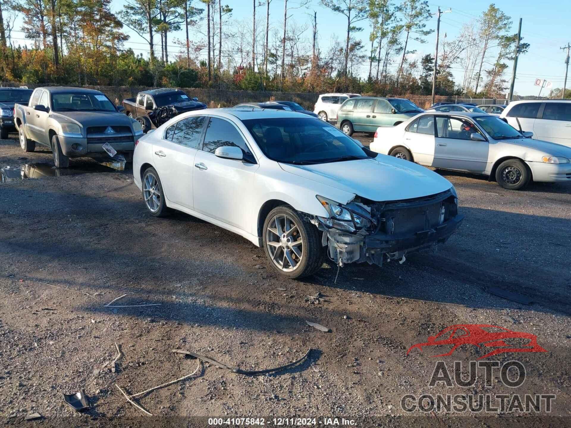 NISSAN MAXIMA 2011 - 1N4AA5AP7BC839905