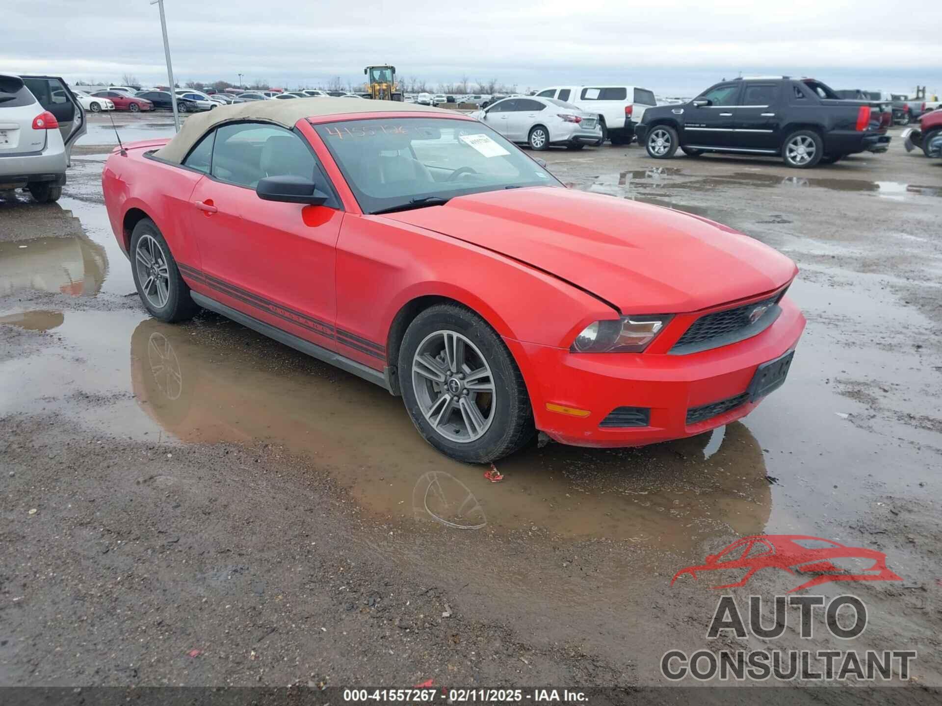 FORD MUSTANG 2010 - 1ZVBP8ENXA5114189