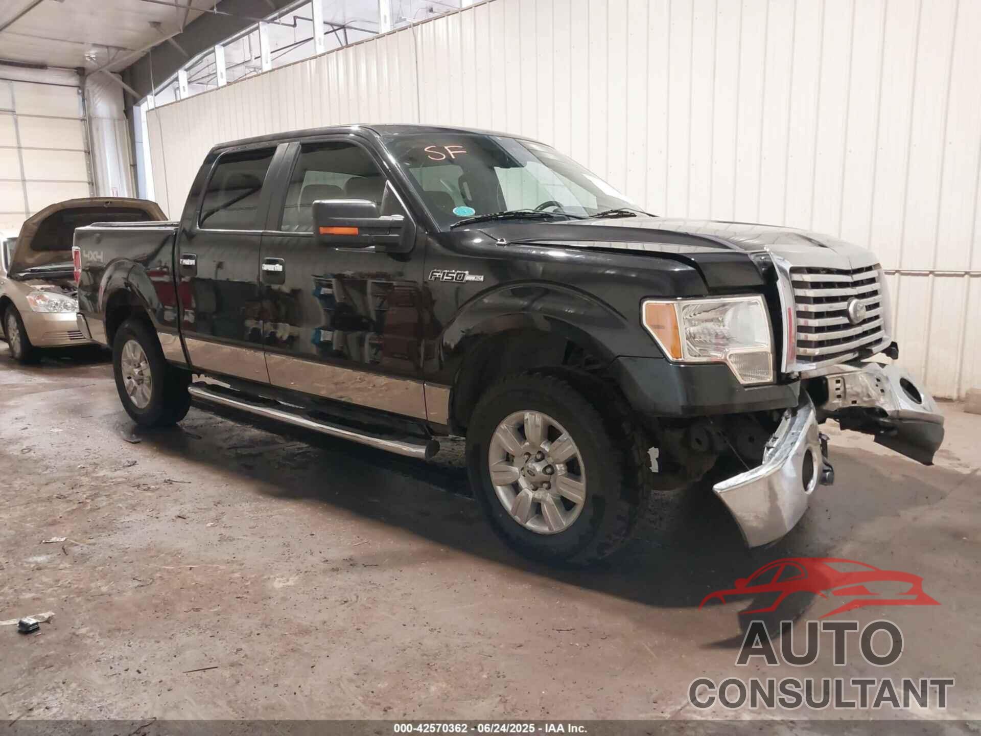 FORD F-150 2010 - 1FTFW1EV1AFD63456