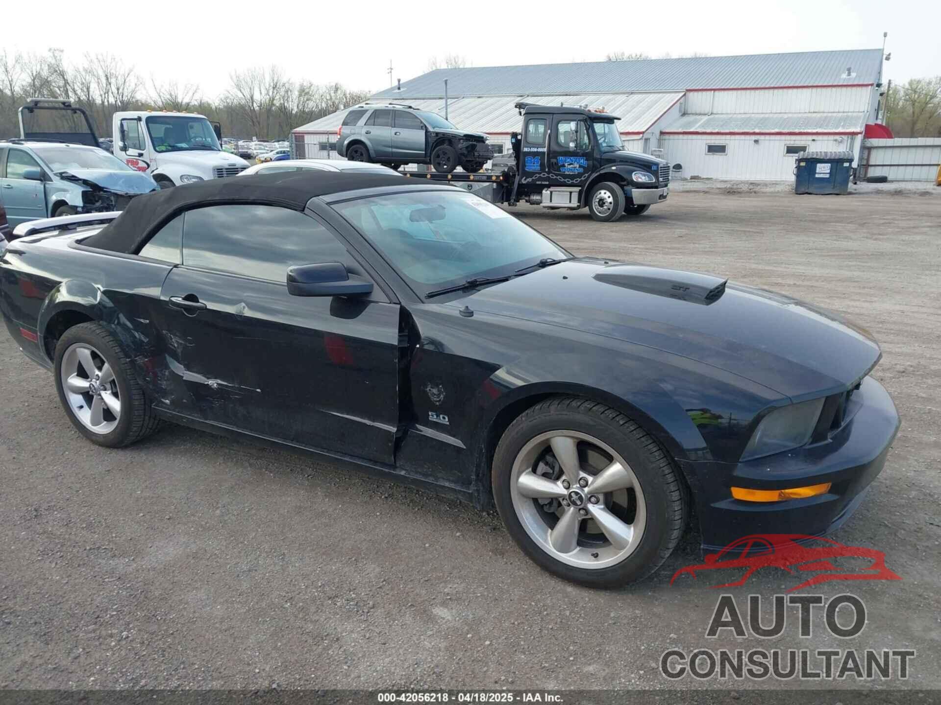 FORD MUSTANG 2009 - 1ZVHT85H795119586