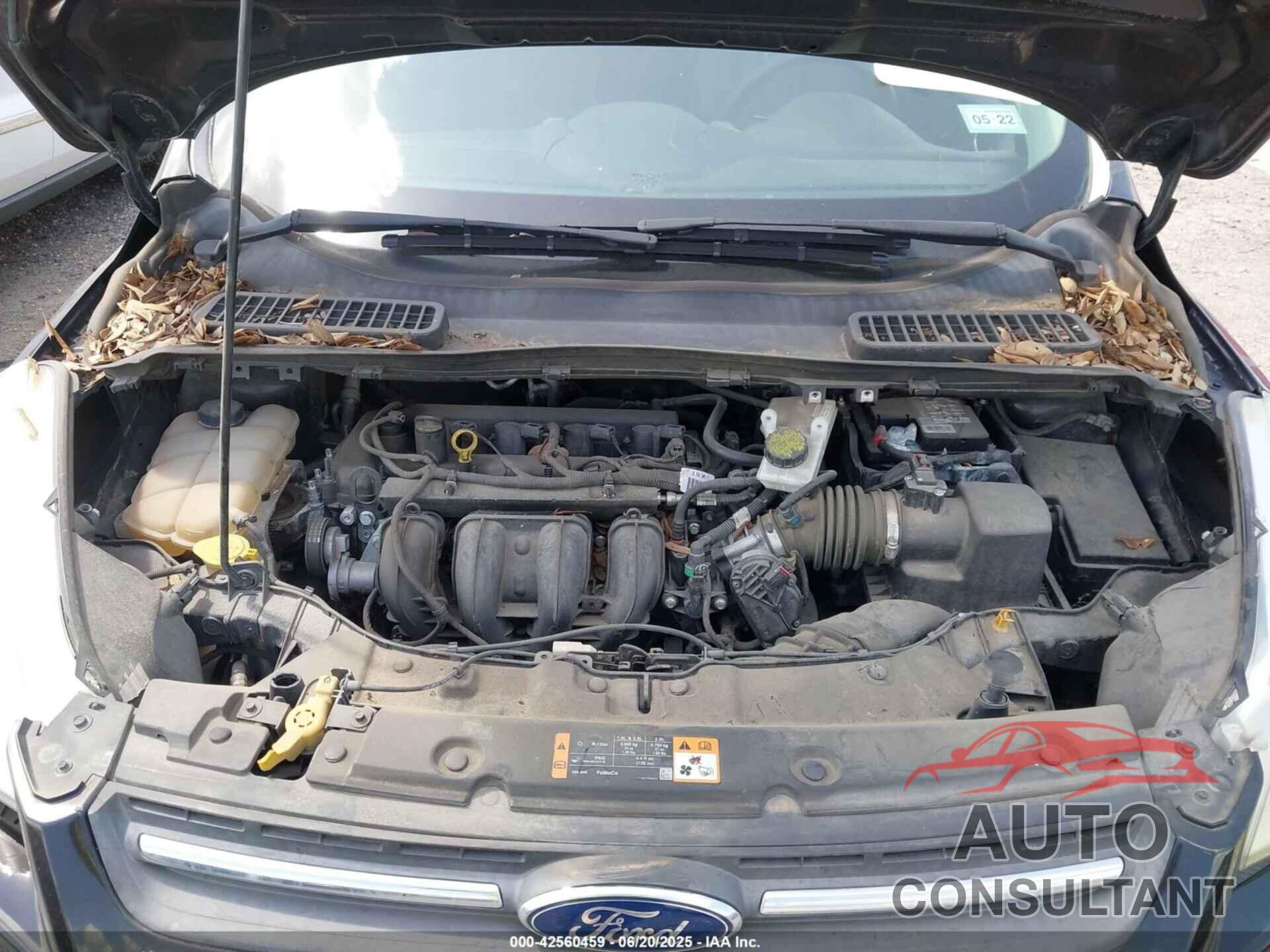 FORD ESCAPE 2016 - 1FMCU0G7XGUA77025