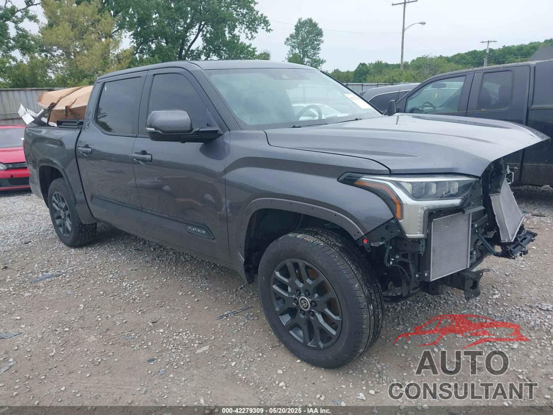 TOYOTA TUNDRA 2024 - 5TFNA5DB8RX209602