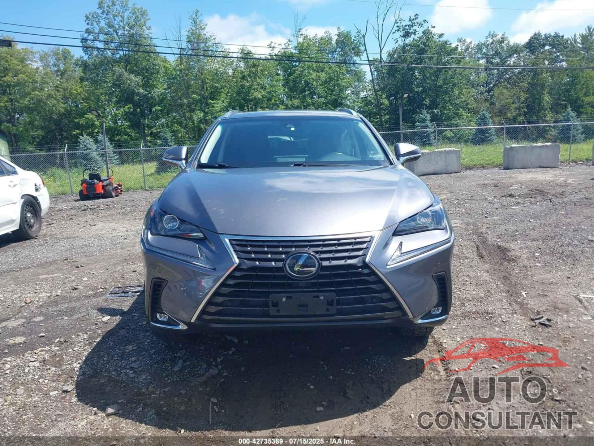 LEXUS NX 300 2019 - JTJBARBZXK2217484