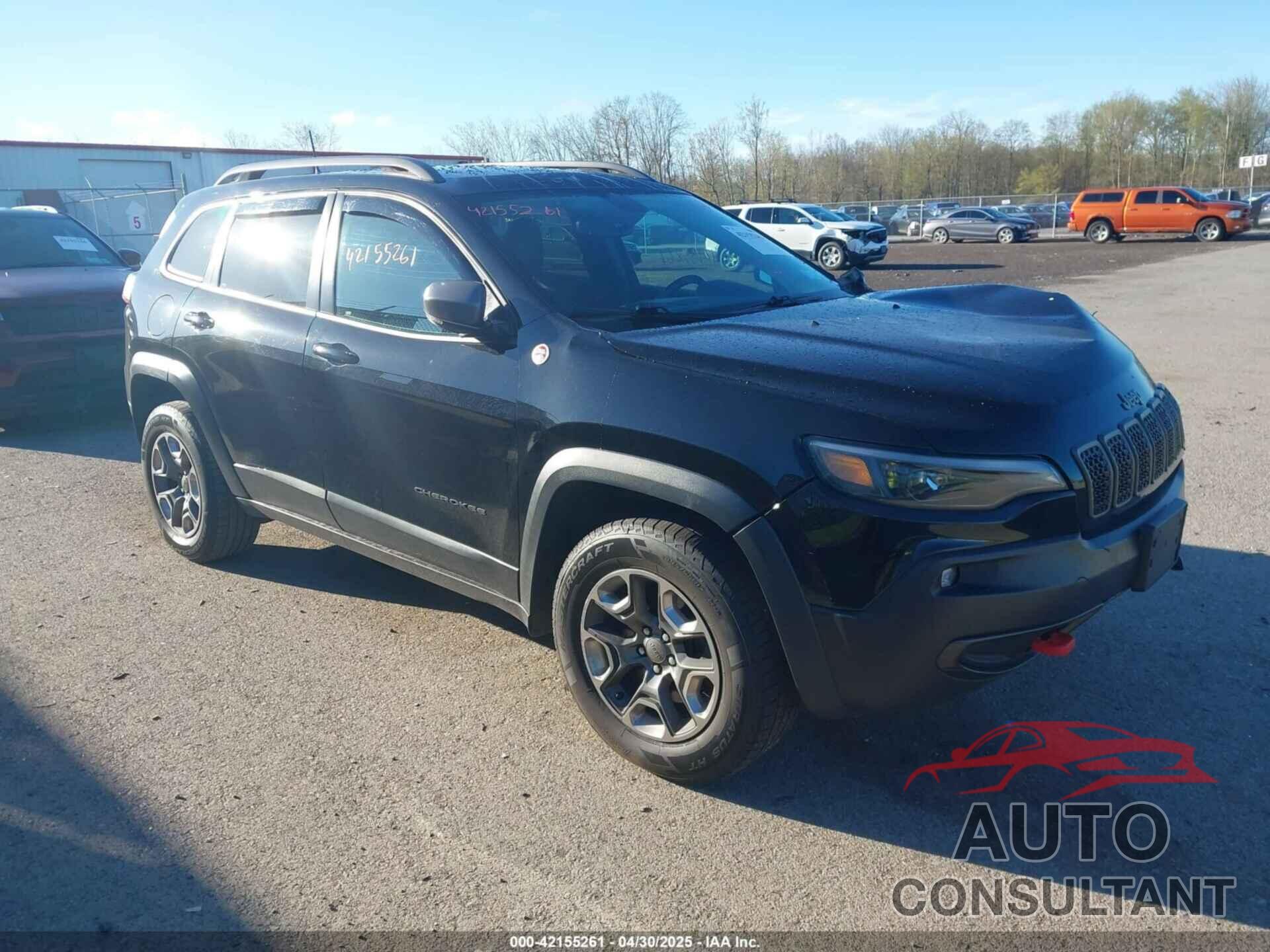 JEEP CHEROKEE 2019 - 1C4PJMBX0KD210316
