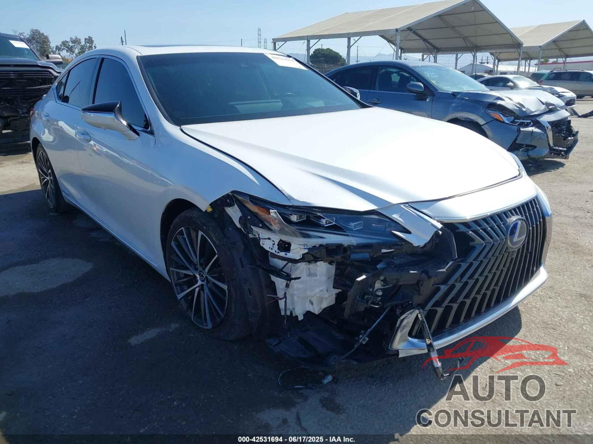 LEXUS ES 300H 2022 - 58AEA1C17NU018917