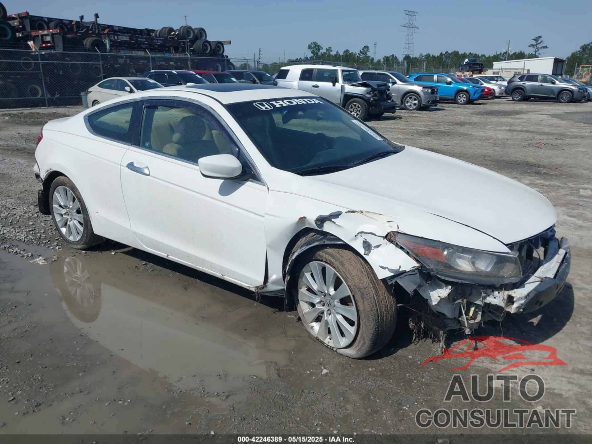 HONDA ACCORD 2010 - 1HGCS2B89AA005796