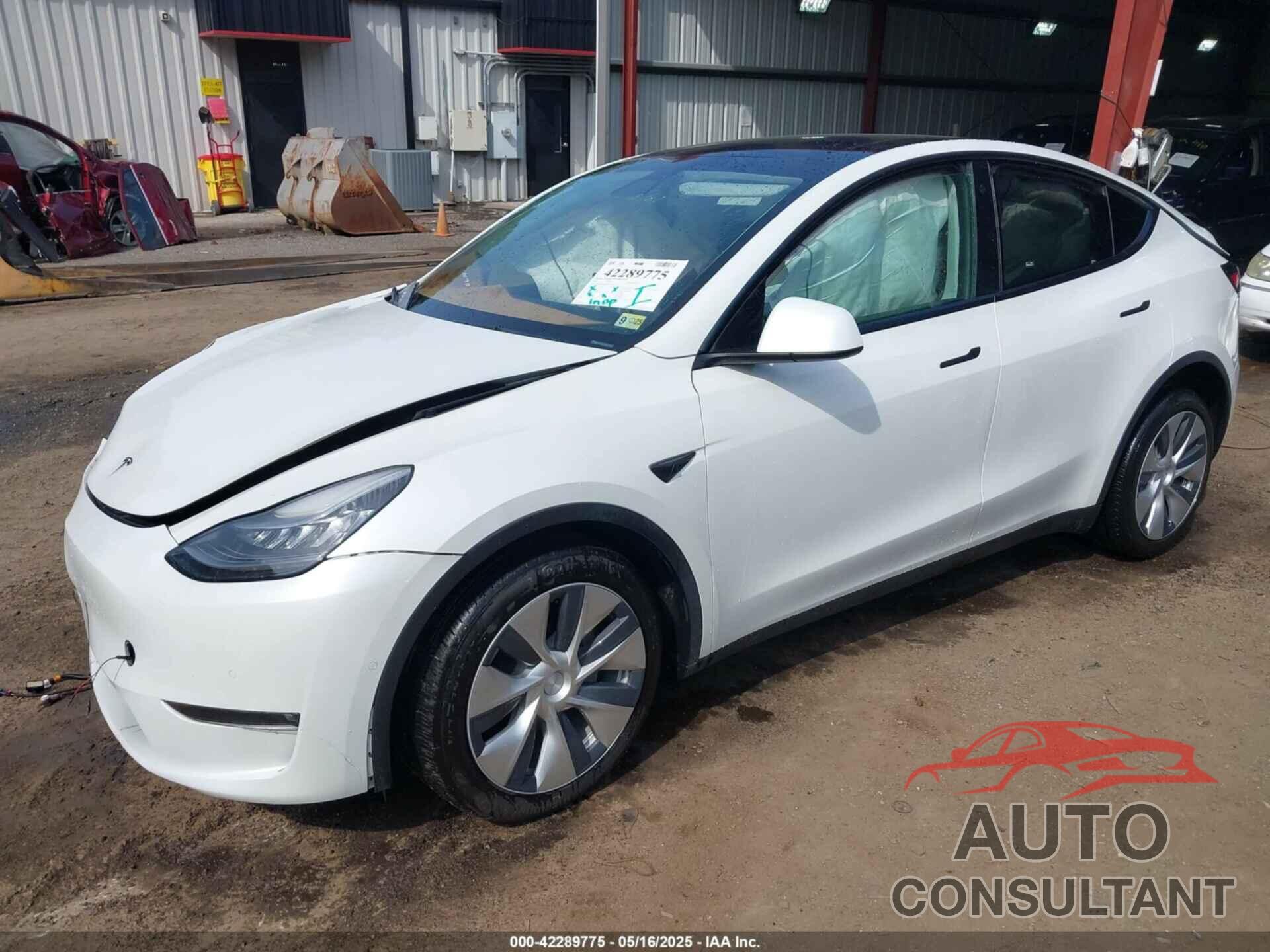 TESLA MODEL Y 2021 - 5YJYGAED8MF173496