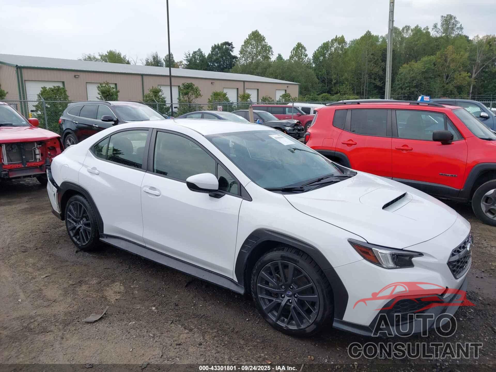 SUBARU WRX 2022 - JF1VBAF61N9024785