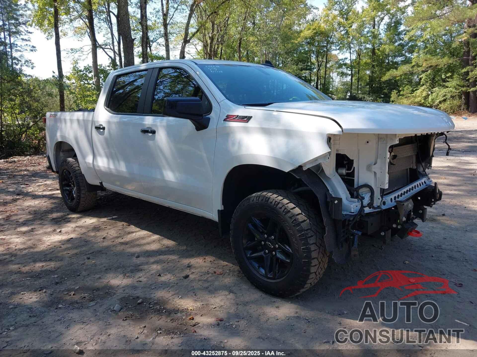 CHEVROLET SILVERADO 1500 2021 - 1GCPYFED3MZ256253
