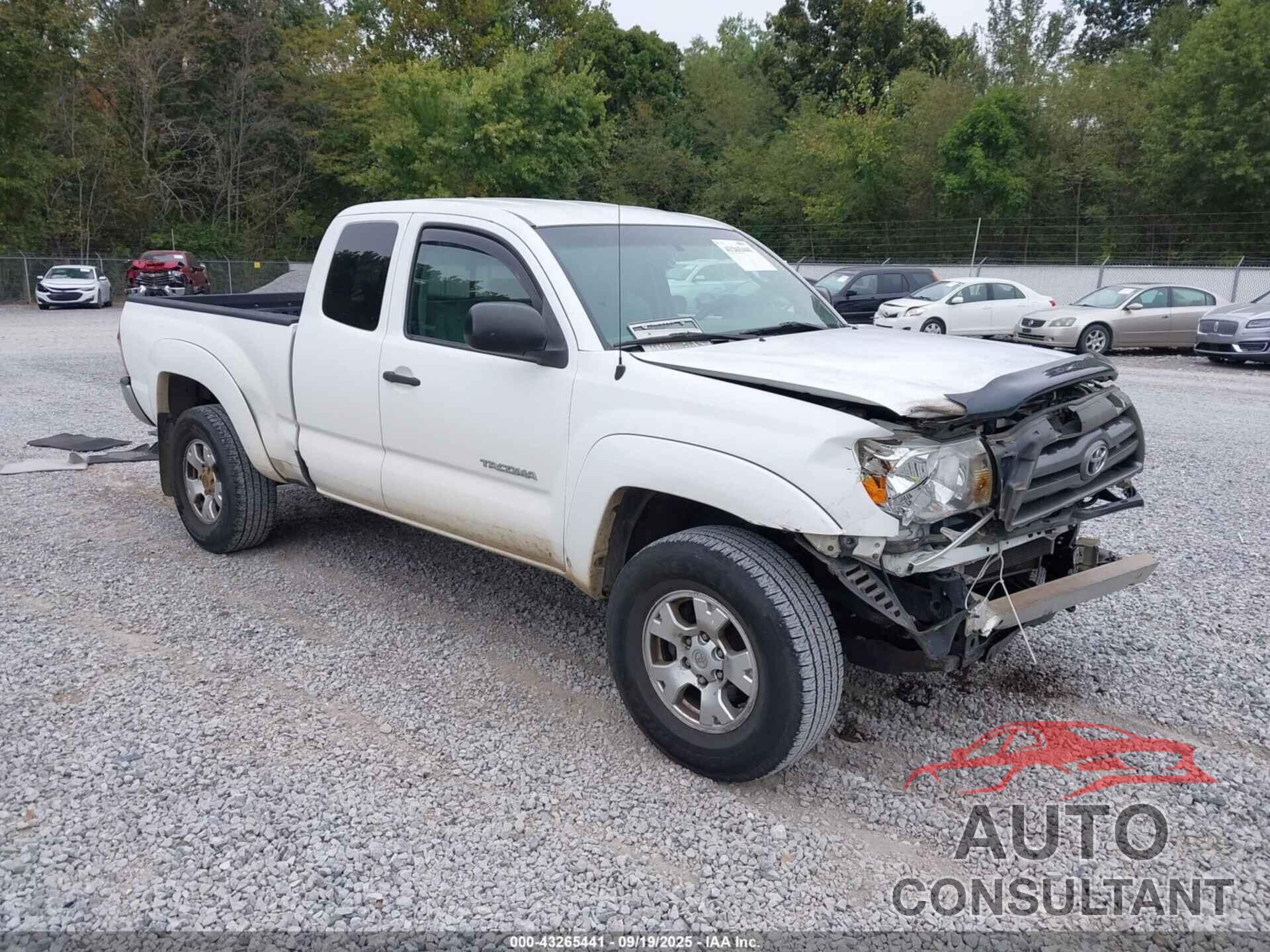 TOYOTA TACOMA 2010 - 5TETU4GN5AZ727419