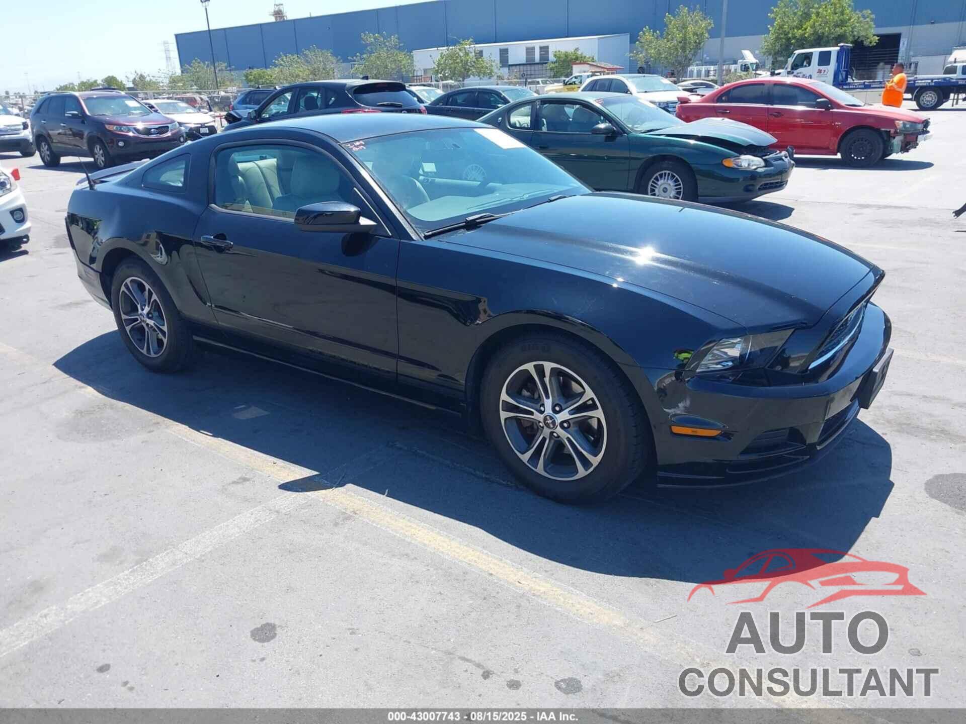 FORD MUSTANG 2014 - 1ZVBP8AM4E5206238