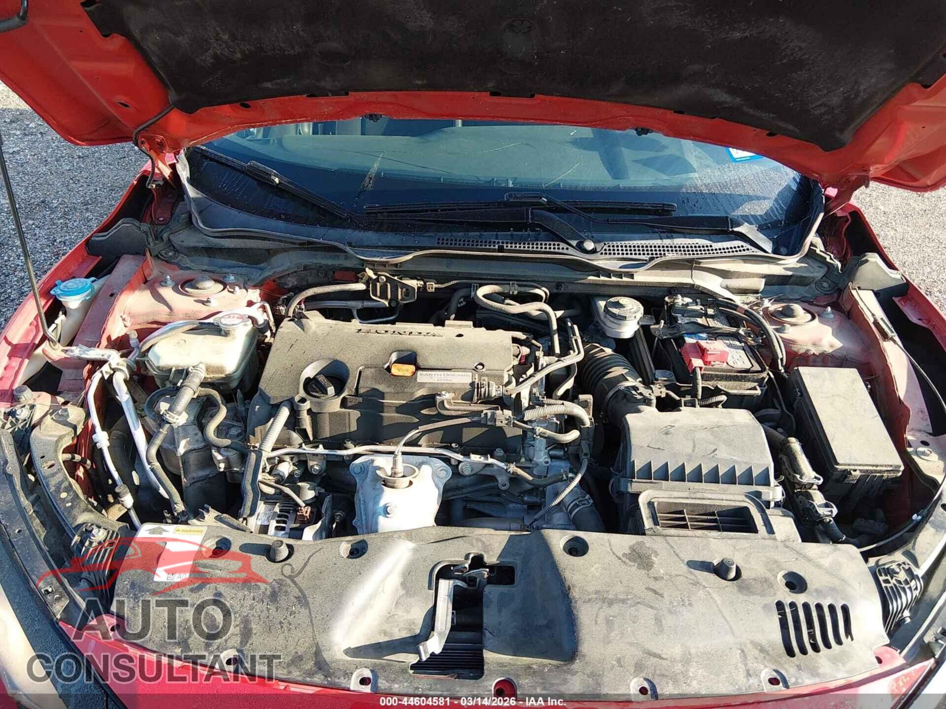 HONDA CIVIC 2019 - 2HGFC2F85KH524237