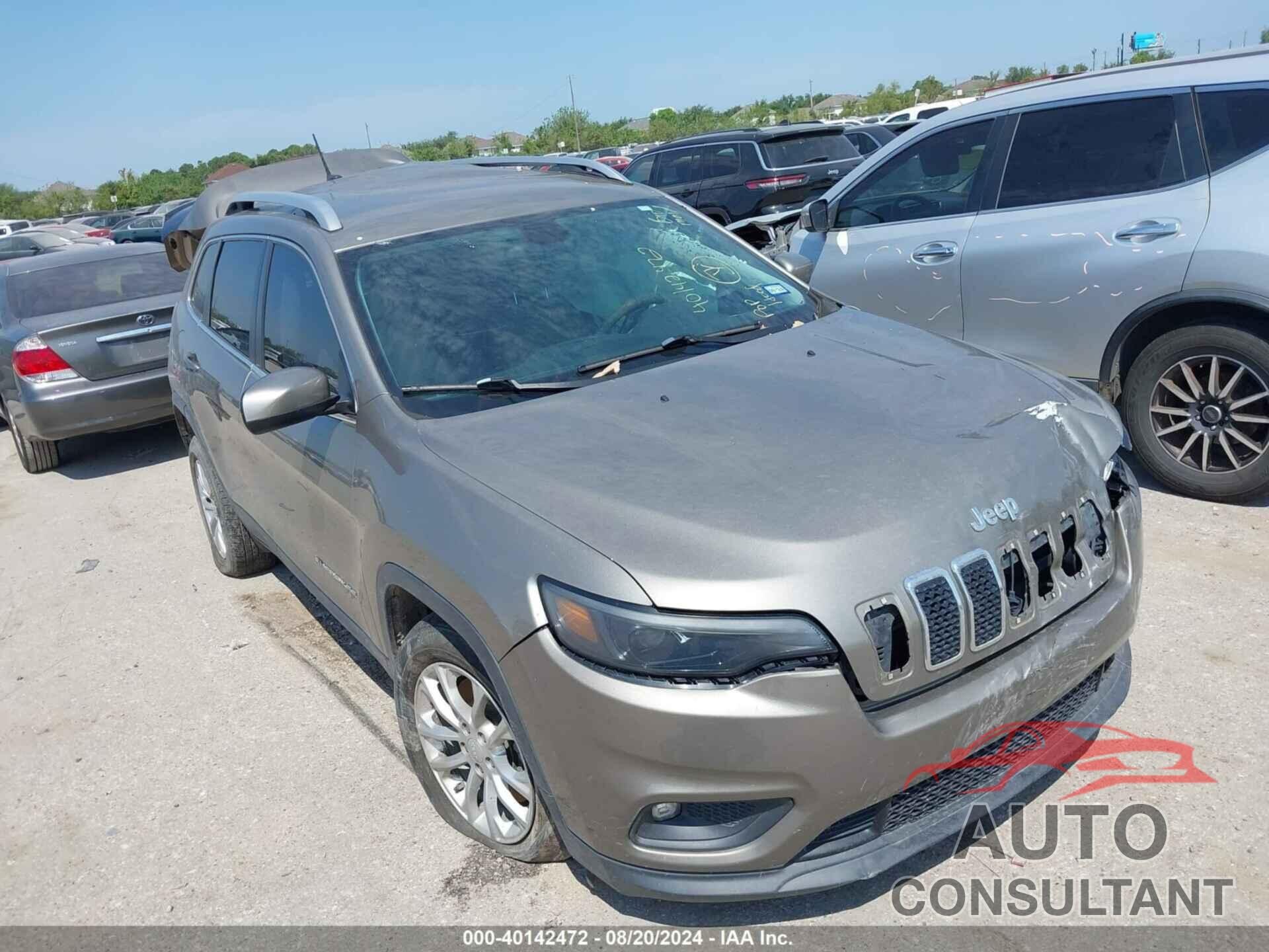 JEEP CHEROKEE 2019 - 1C4PJLCB9KD220386