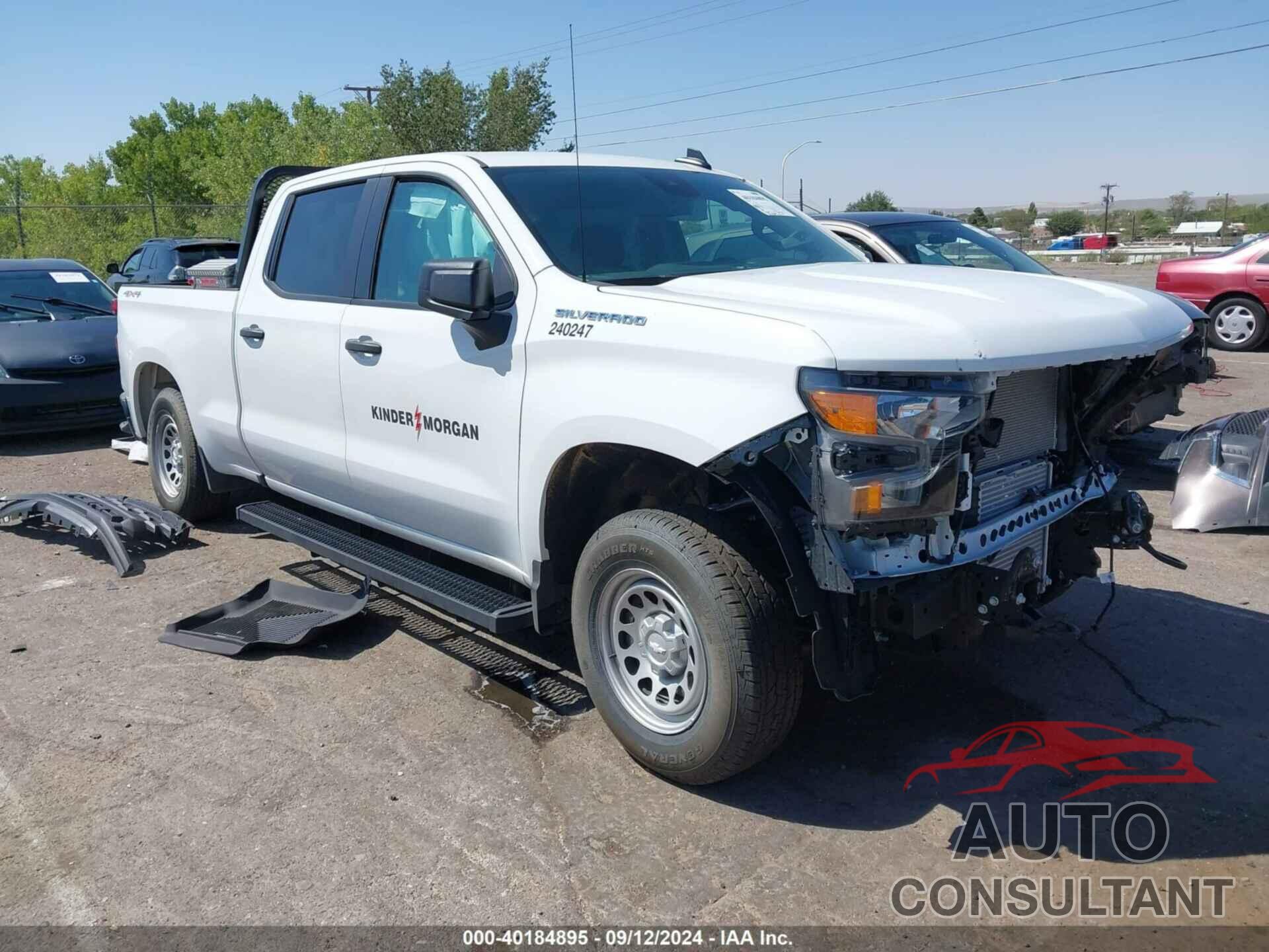 CHEVROLET SILVERADO 1500 2024 - 3GCPDAEKXRG272633