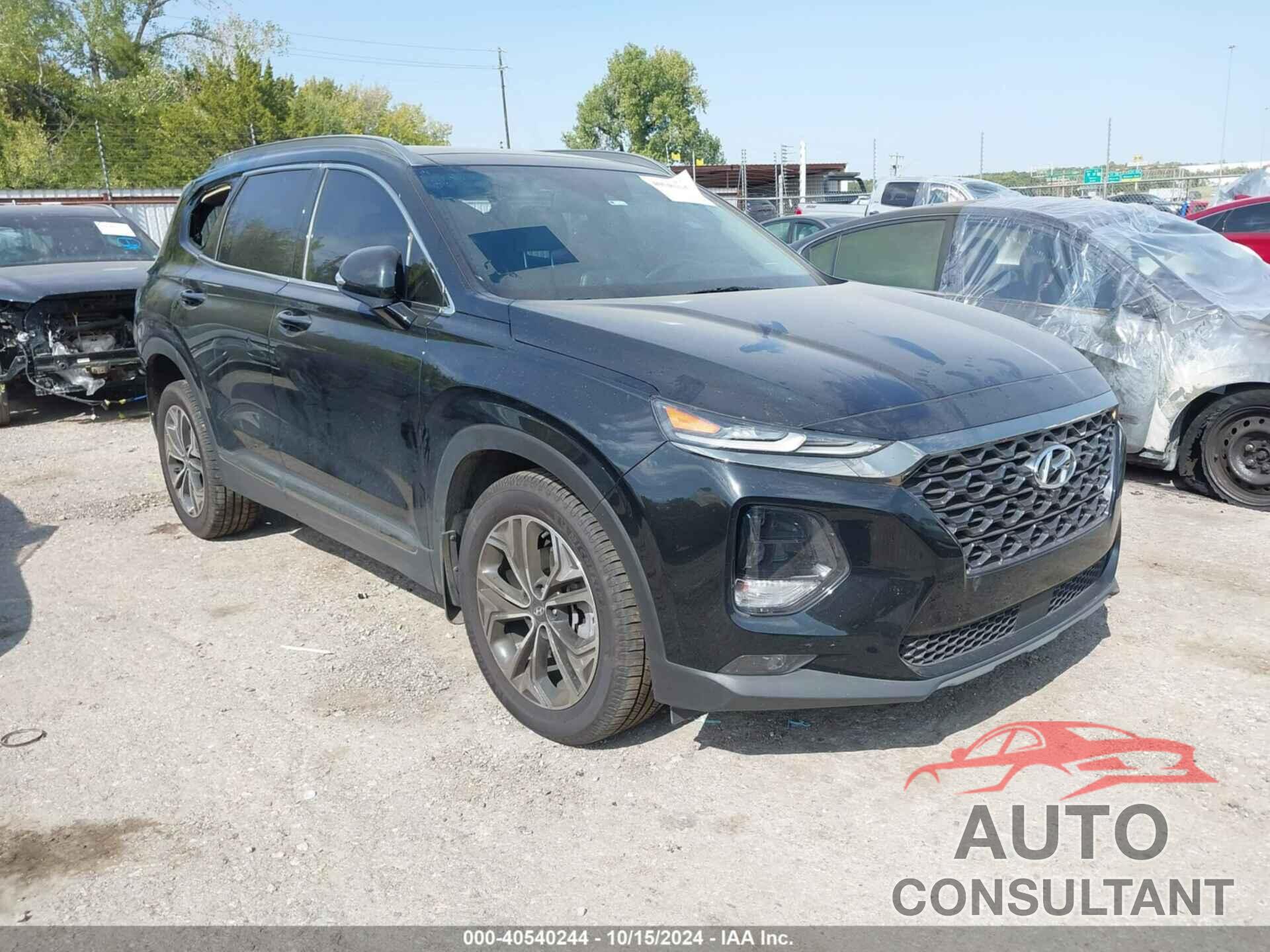 HYUNDAI SANTA FE 2019 - 5NMS53AAXKH110463