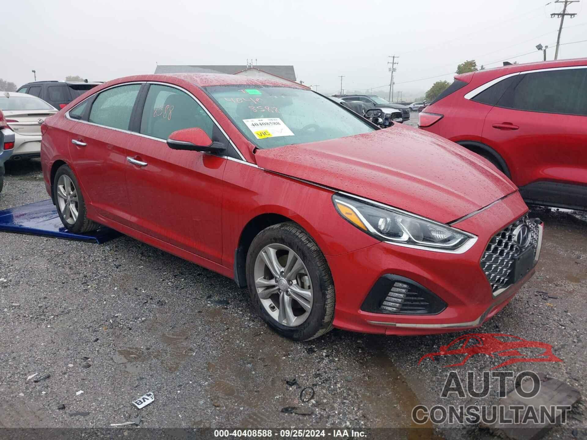 HYUNDAI SONATA 2019 - 5NPE34AF2KH804314