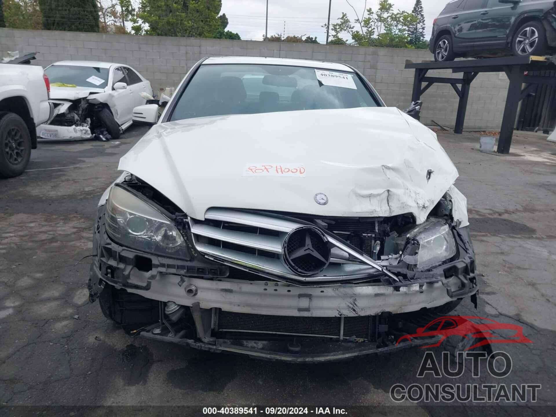 MERCEDES-BENZ C 300 2011 - WDDGF5EBXBR146530