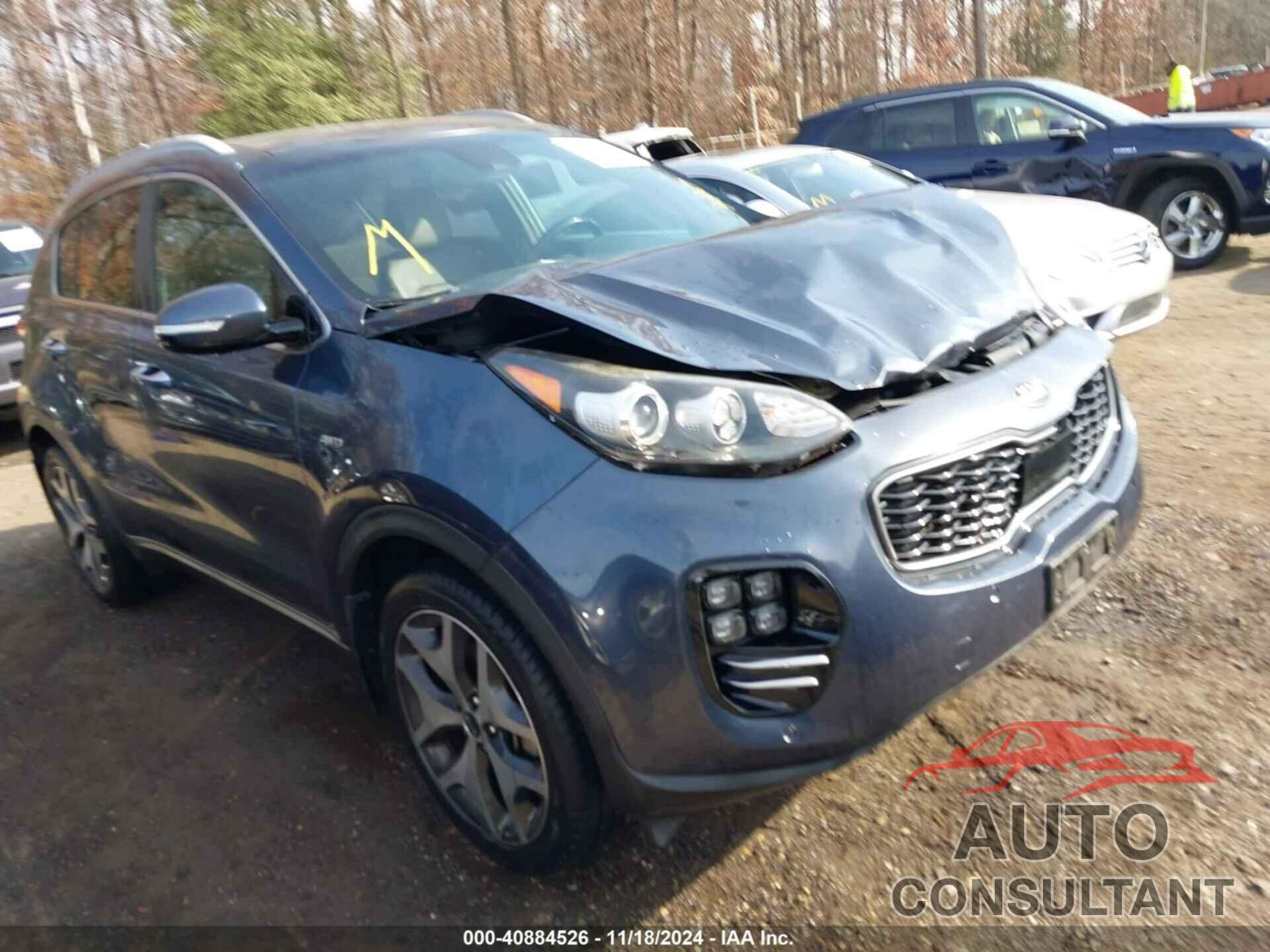 KIA SPORTAGE 2017 - KNDPRCA6XH7183502