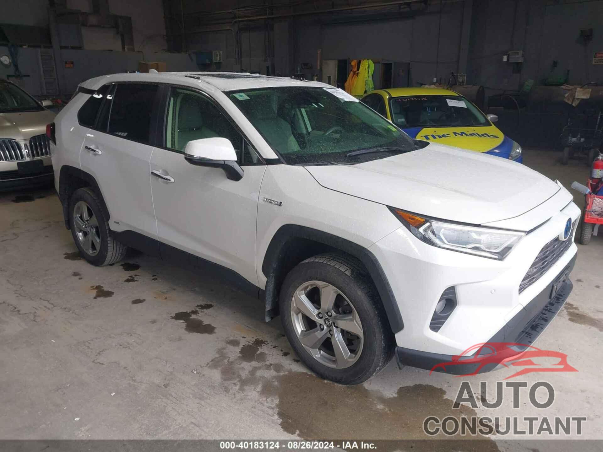 TOYOTA RAV4 HYBRID 2019 - JTMDWRFV8KD034299