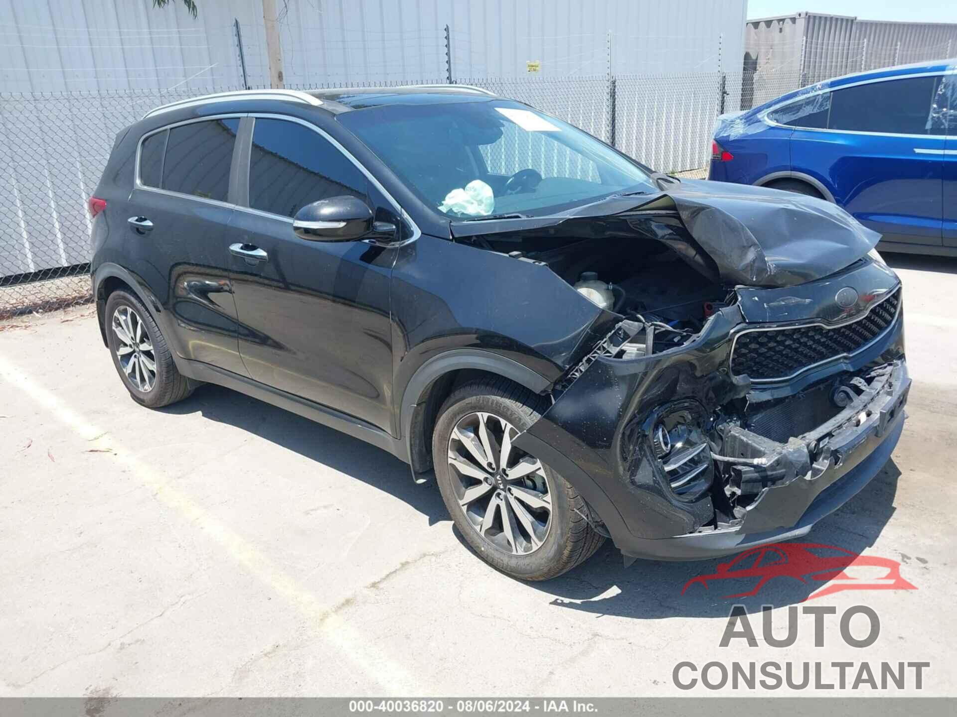 KIA SPORTAGE 2017 - KNDPN3ACXH7176454