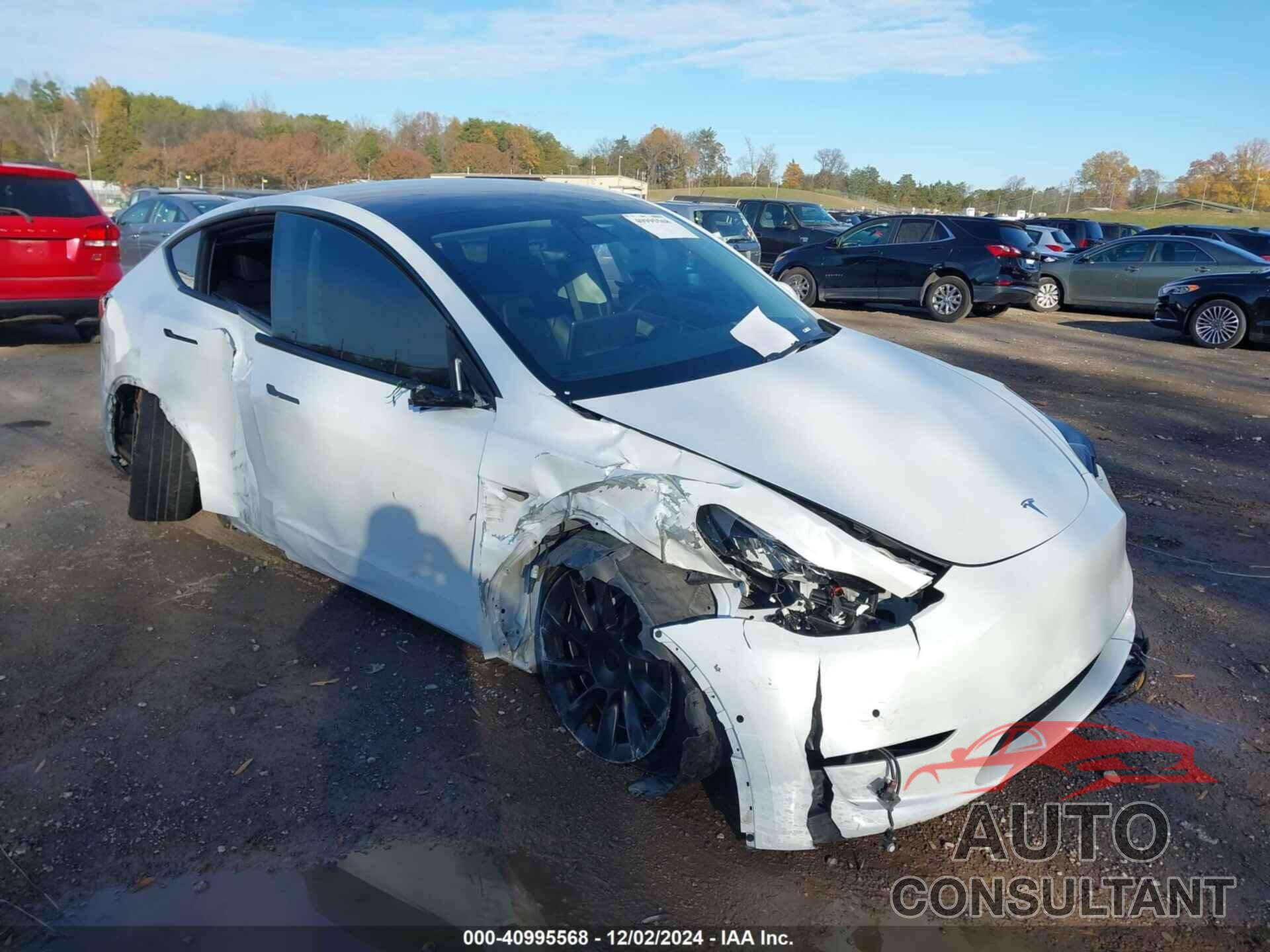 TESLA MODEL Y 2021 - 5YJYGAEEXMF185304