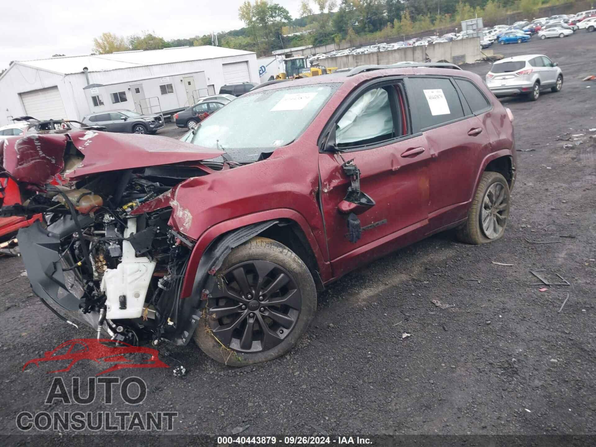 JEEP CHEROKEE 2019 - 1C4PJMDX0KD465447