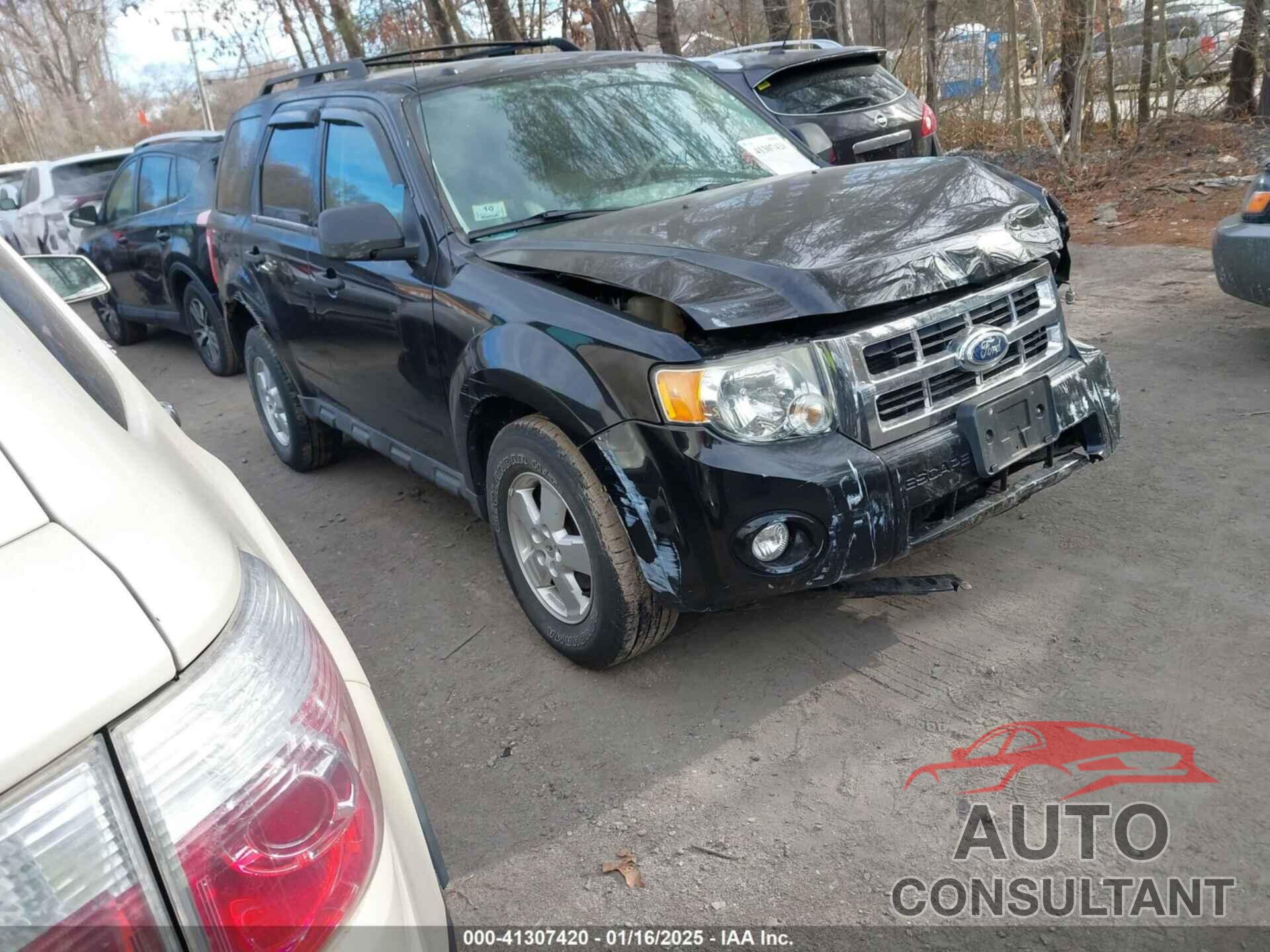 FORD ESCAPE 2010 - 1FMCU9DG7AKC87531