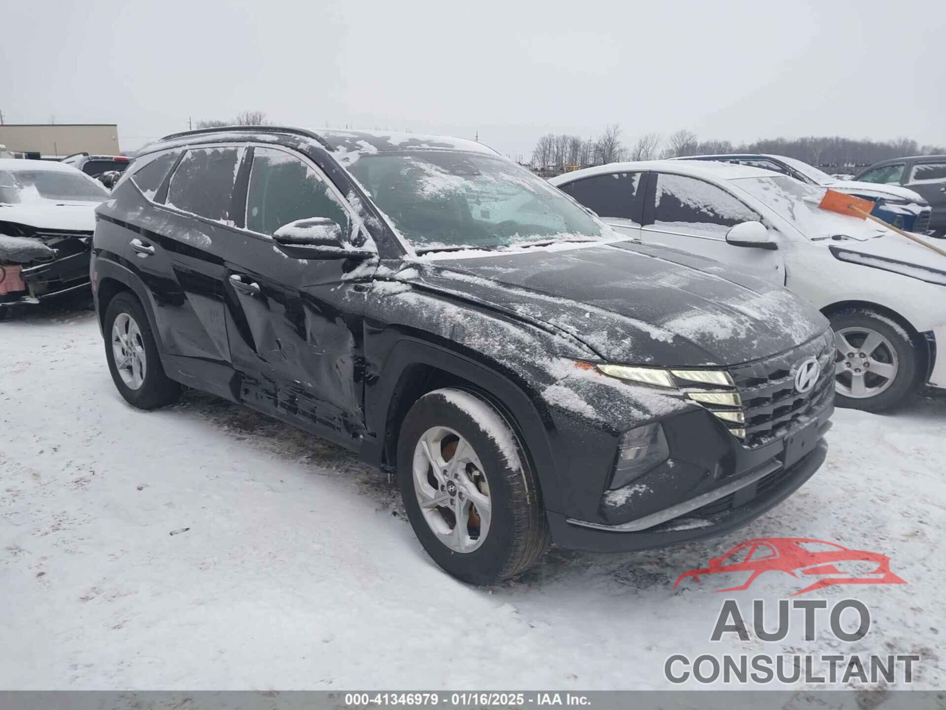 HYUNDAI TUCSON 2024 - 5NMJBCDE2RH330337