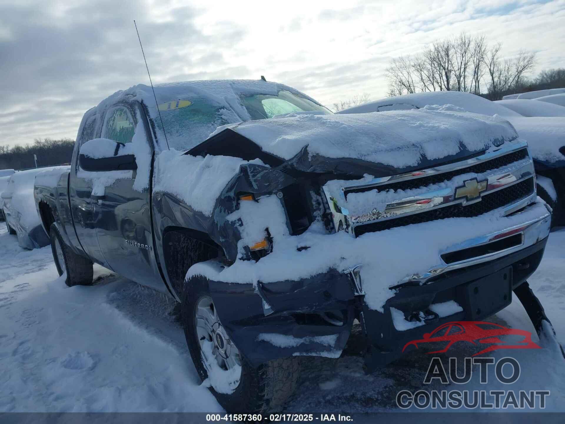 CHEVROLET SILVERADO 1500 2011 - 1GCRKSE38BZ290776