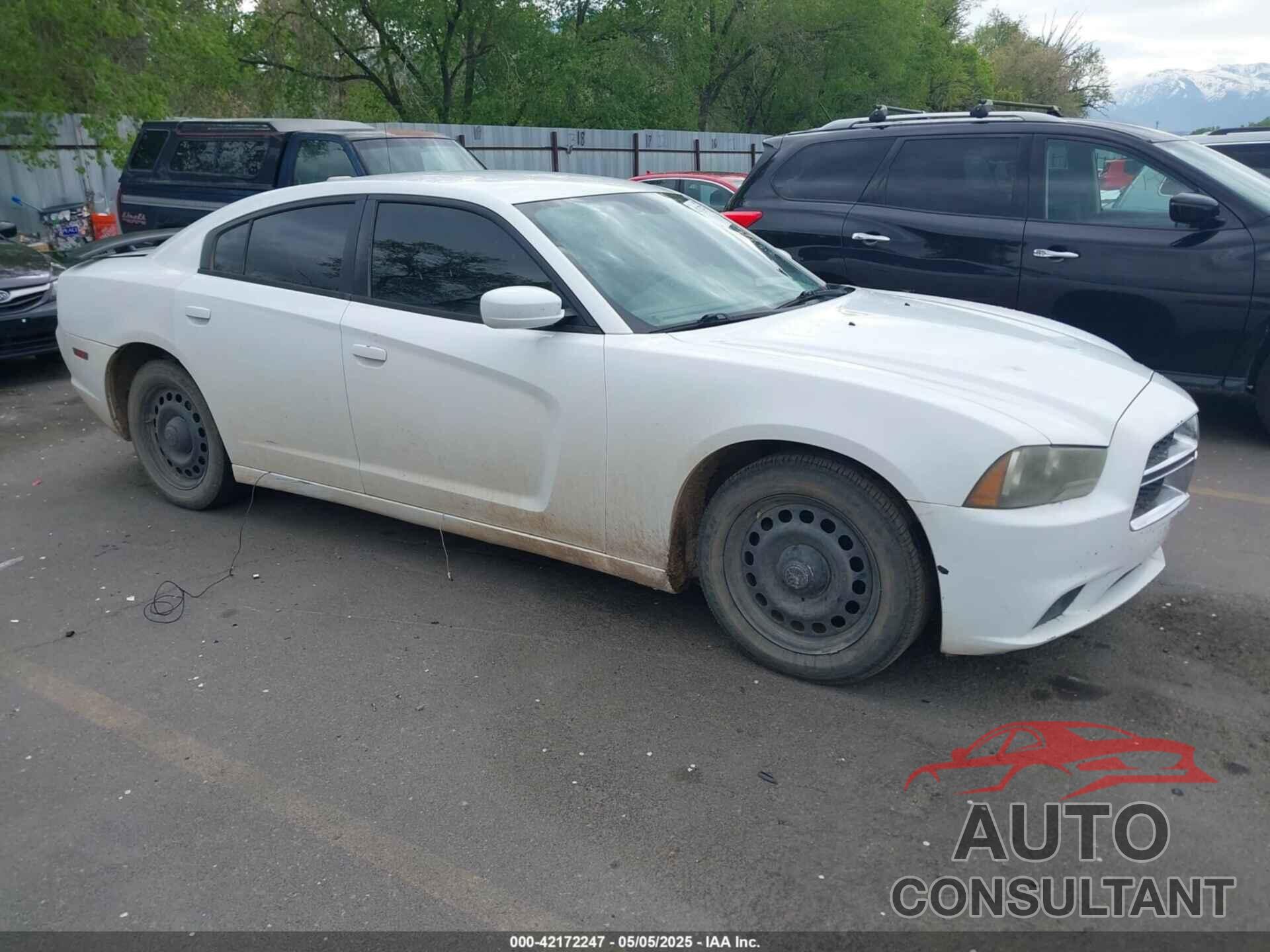 DODGE CHARGER 2014 - 2C3CDXBG8EH316144