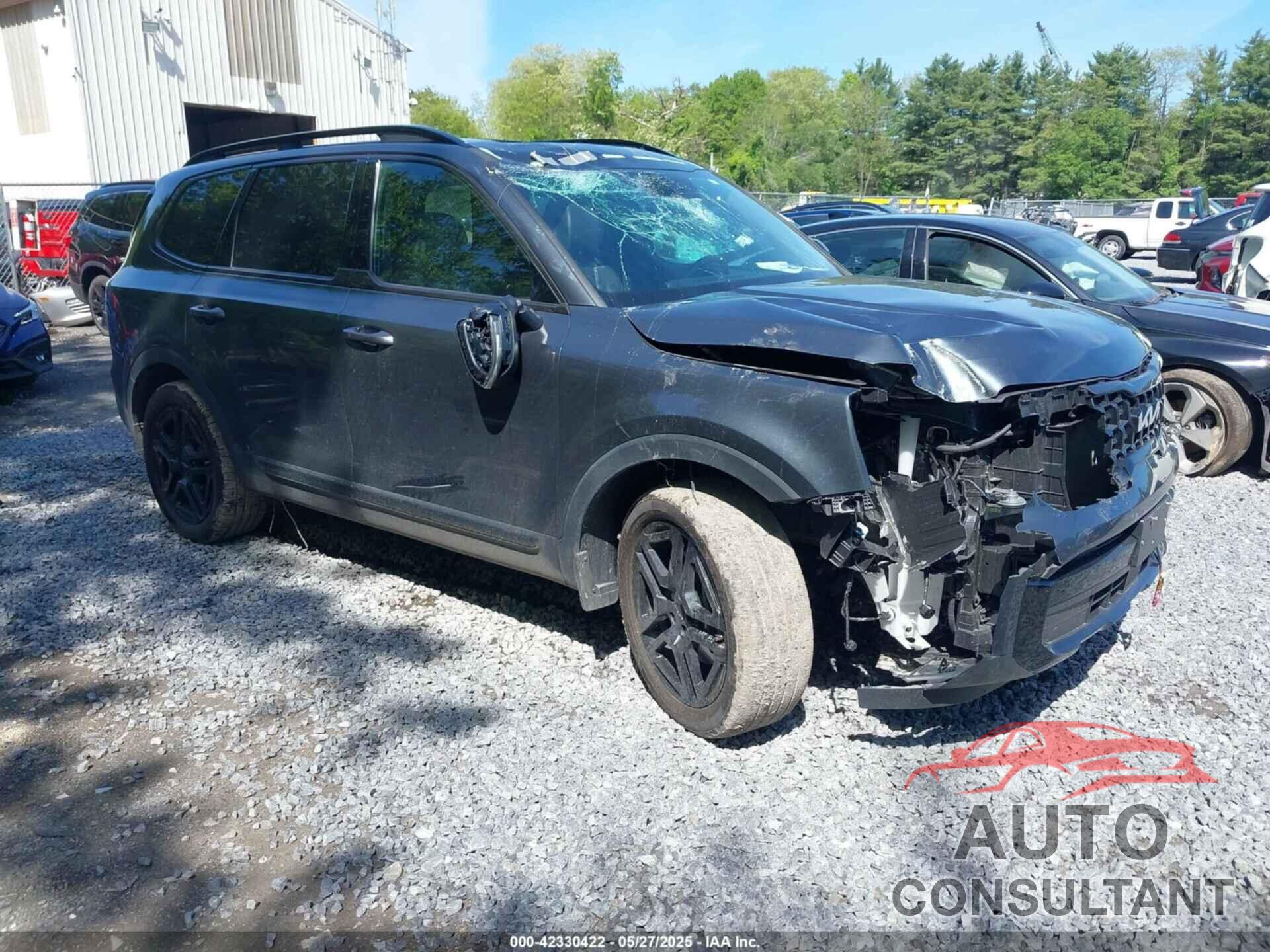 KIA TELLURIDE 2024 - 5XYP3DGC9RG539740