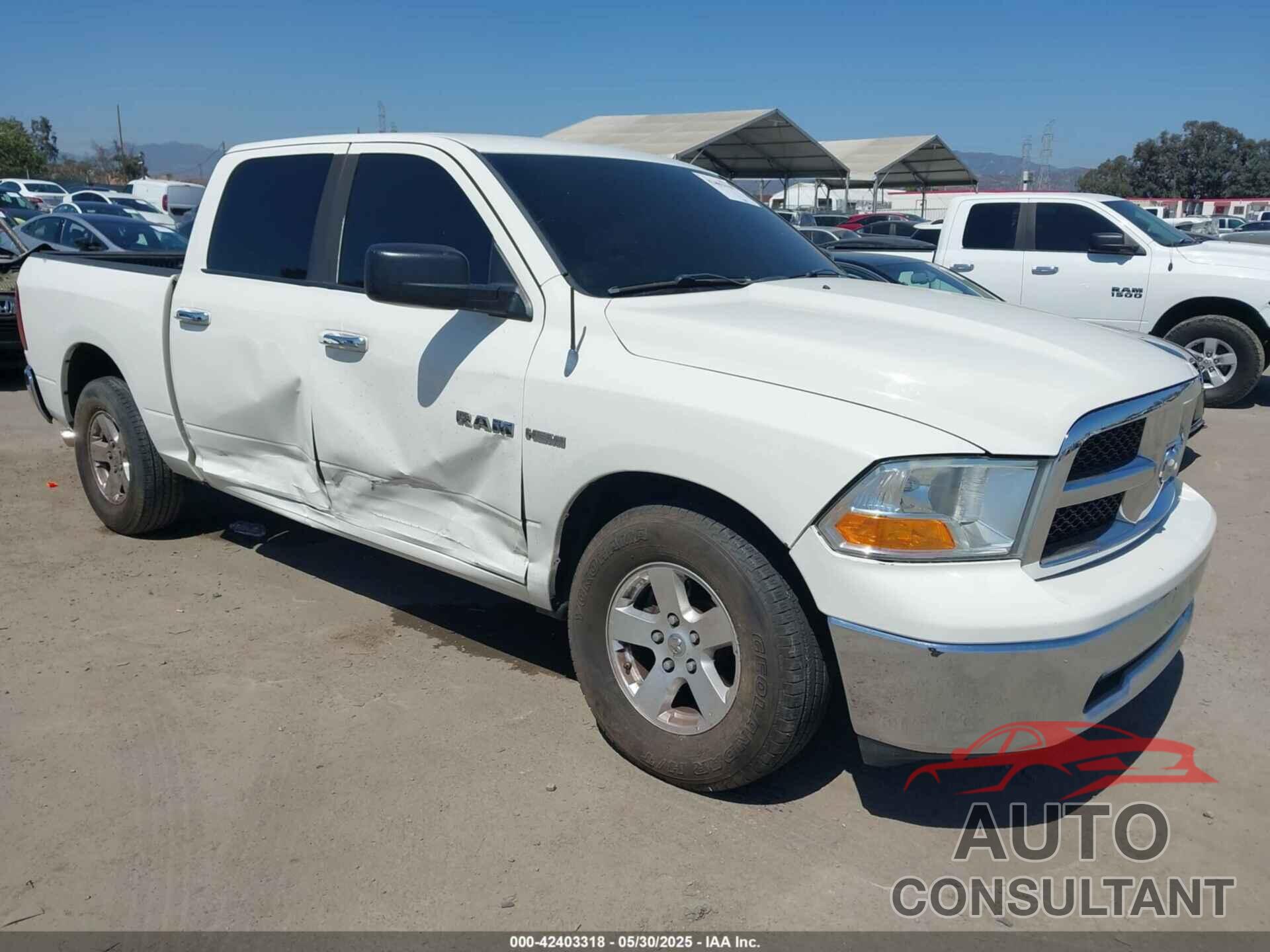 DODGE RAM 1500 2009 - 1D3HB13TX9S798489
