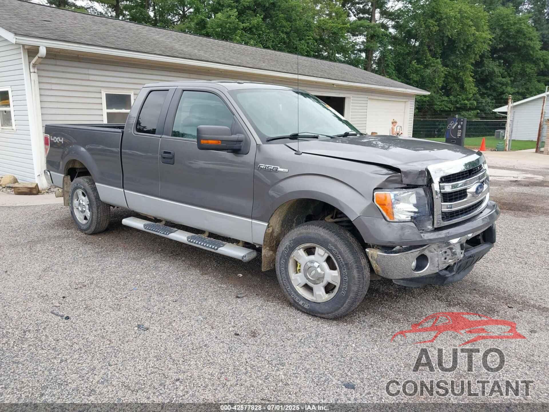 FORD F-150 2013 - 1FTFX1EF3DFA21422
