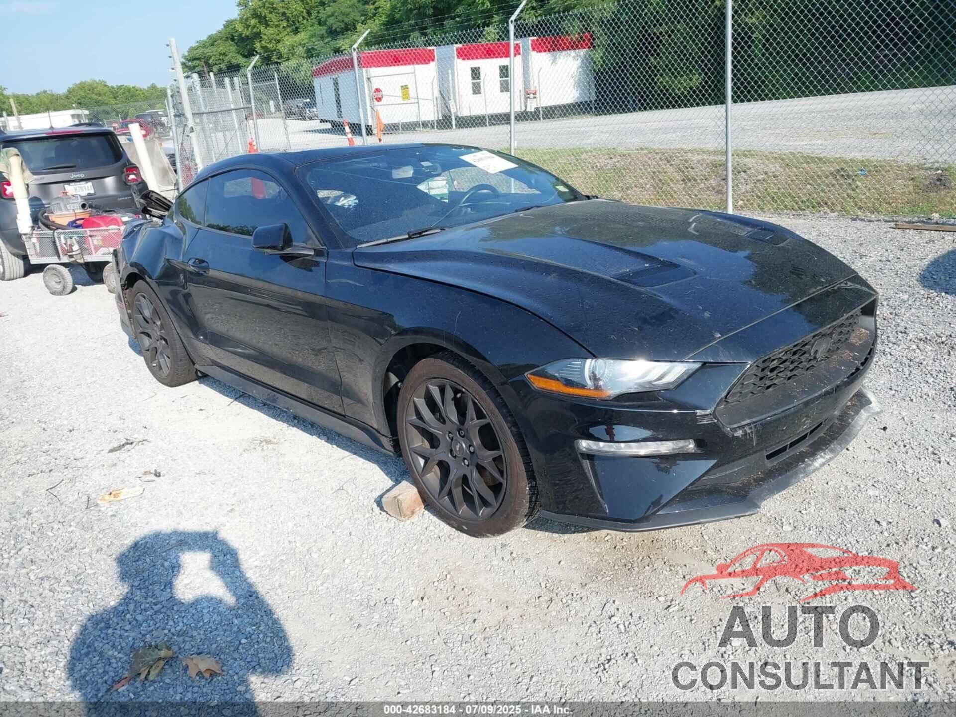 FORD MUSTANG 2019 - 1FA6P8TH8K5133624