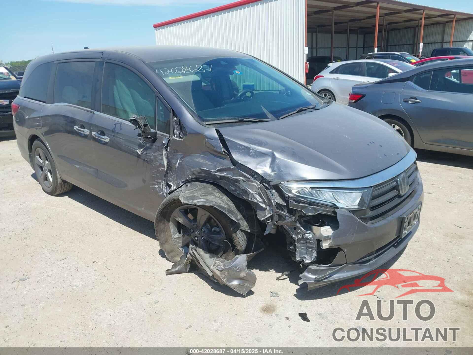 HONDA ODYSSEY 2021 - 5FNRL6H58MB043929