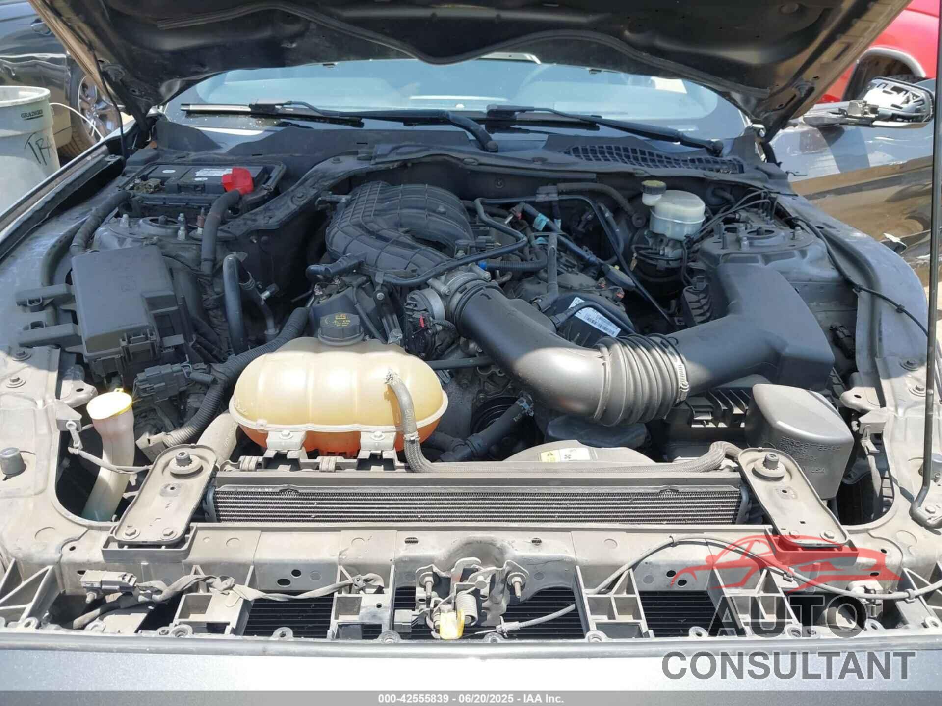 FORD MUSTANG 2016 - 1FA6P8AMXG5202711