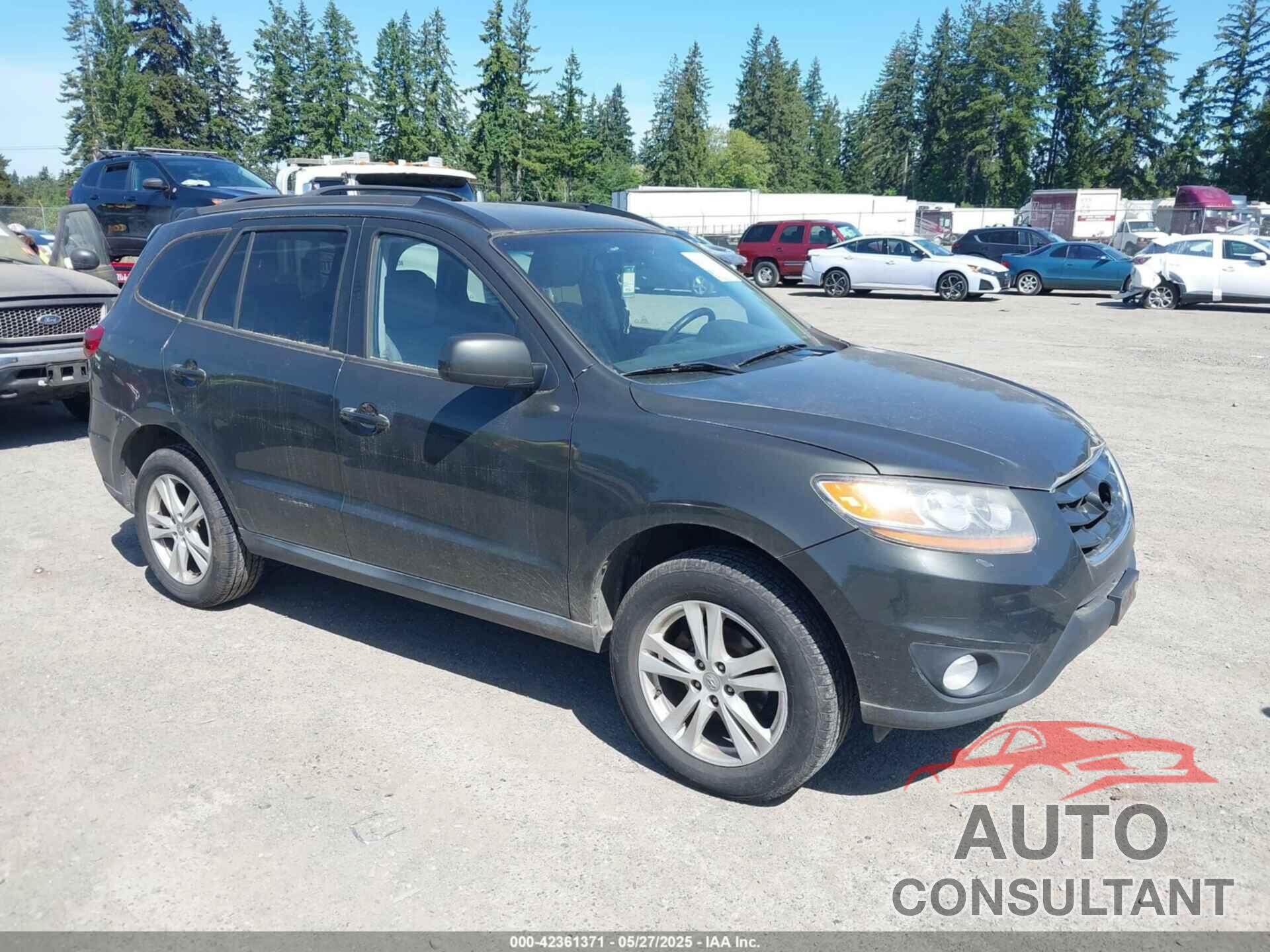 HYUNDAI SANTA FE 2010 - 5NMSH4AG3AH394695