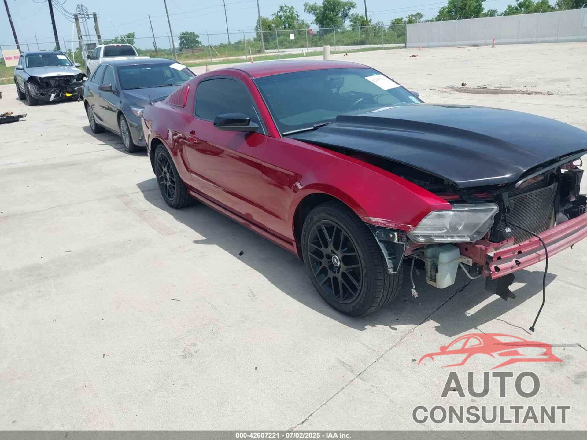 FORD MUSTANG 2014 - 1ZVBP8AM0E5278005