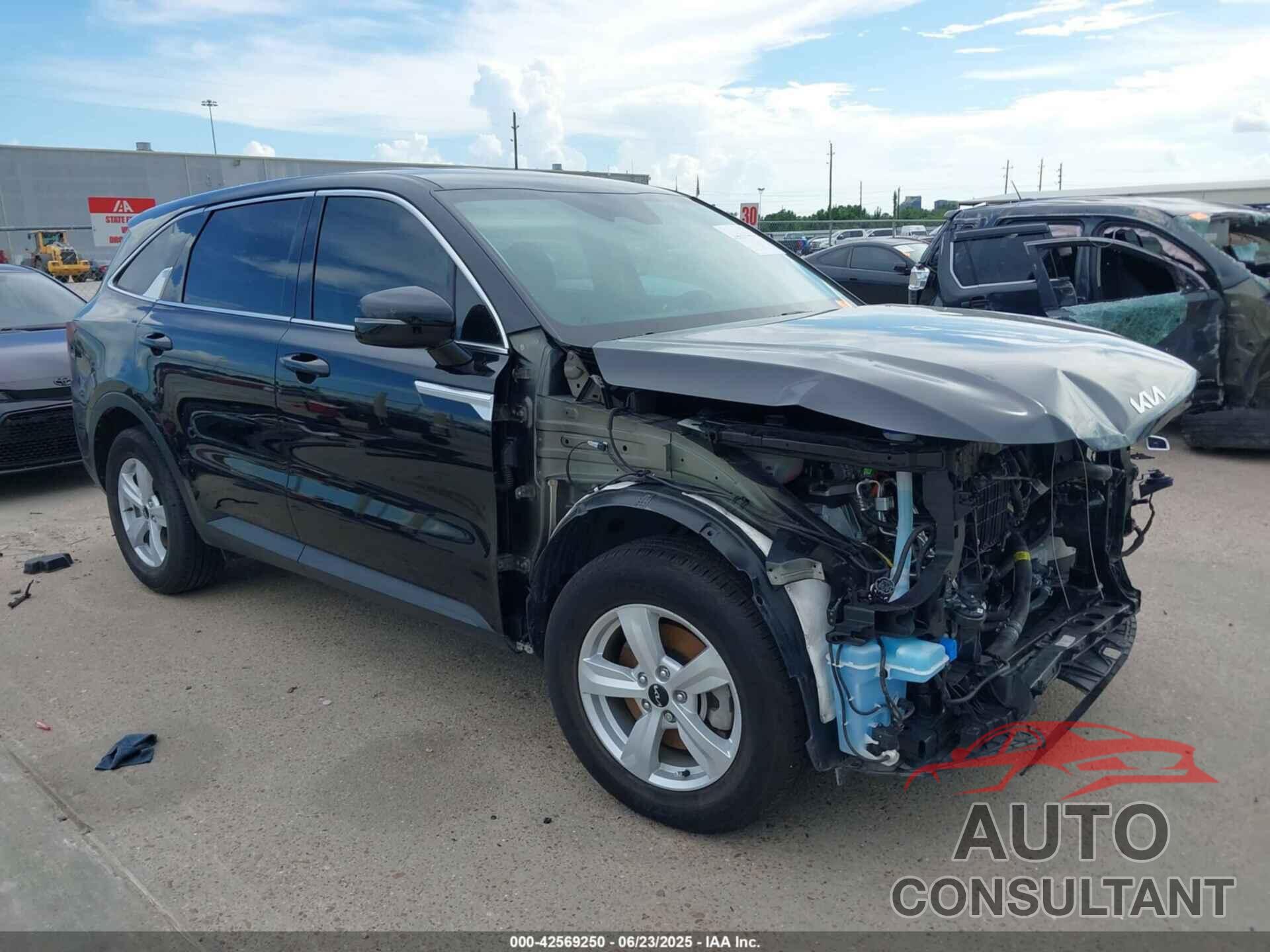 KIA SORENTO 2024 - 5XYRG4JC2RG292955