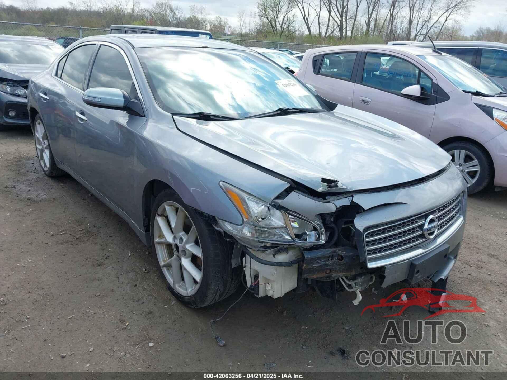 NISSAN MAXIMA 2009 - 1N4AA51E59C824621