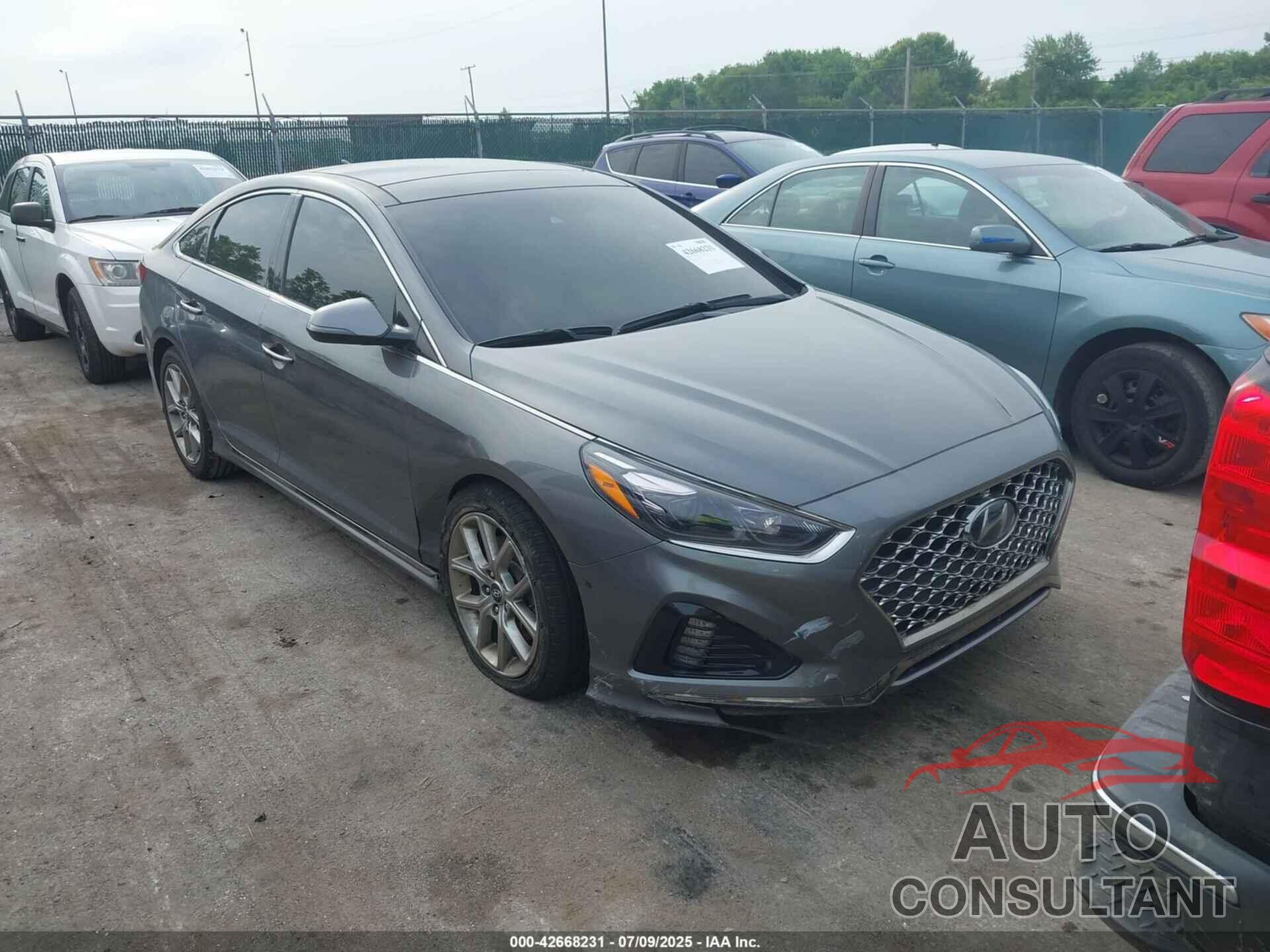 HYUNDAI SONATA 2019 - 5NPE34AB4KH809964
