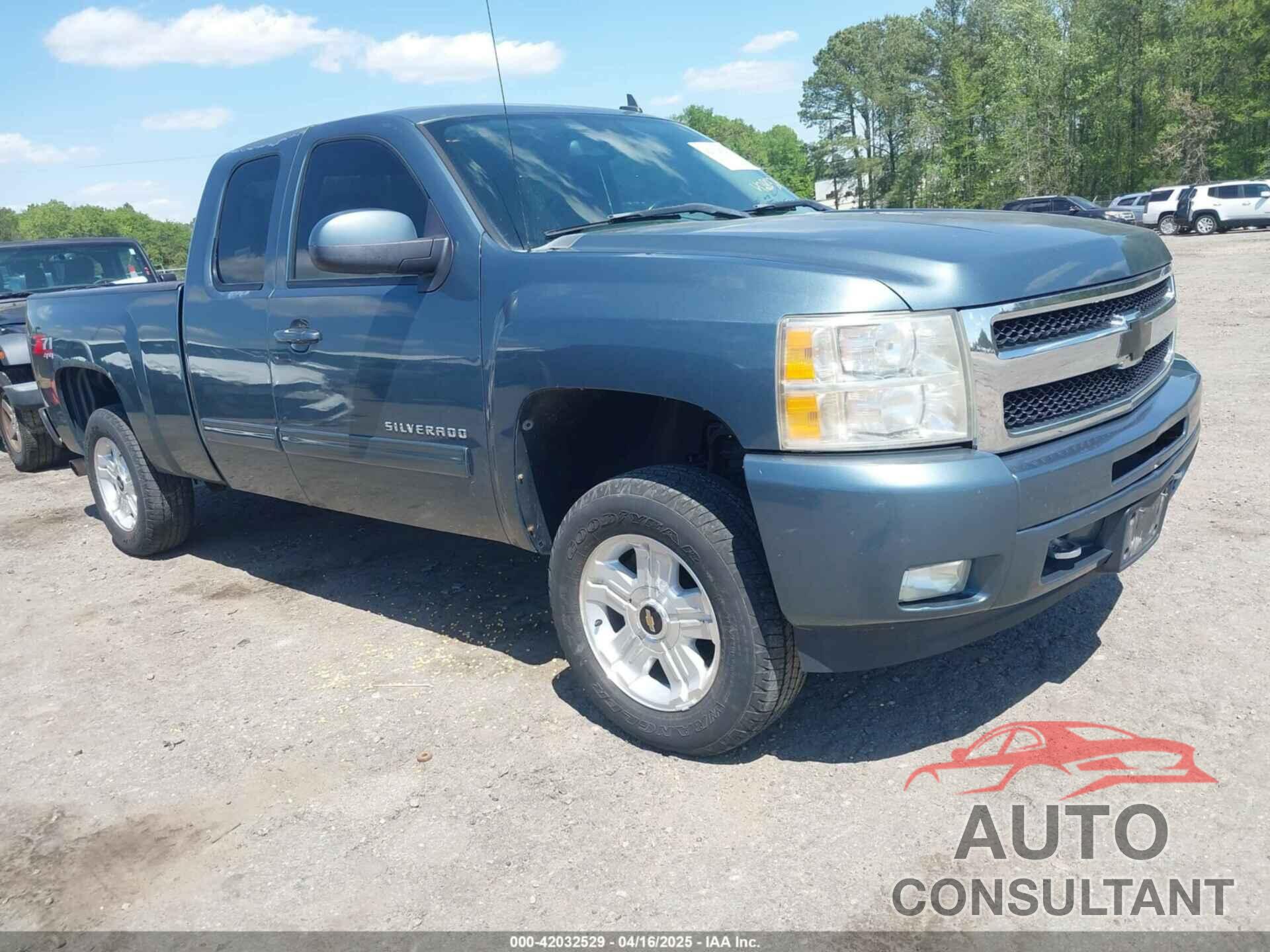 CHEVROLET SILVERADO 1500 2009 - 1GCEK29J29Z294923
