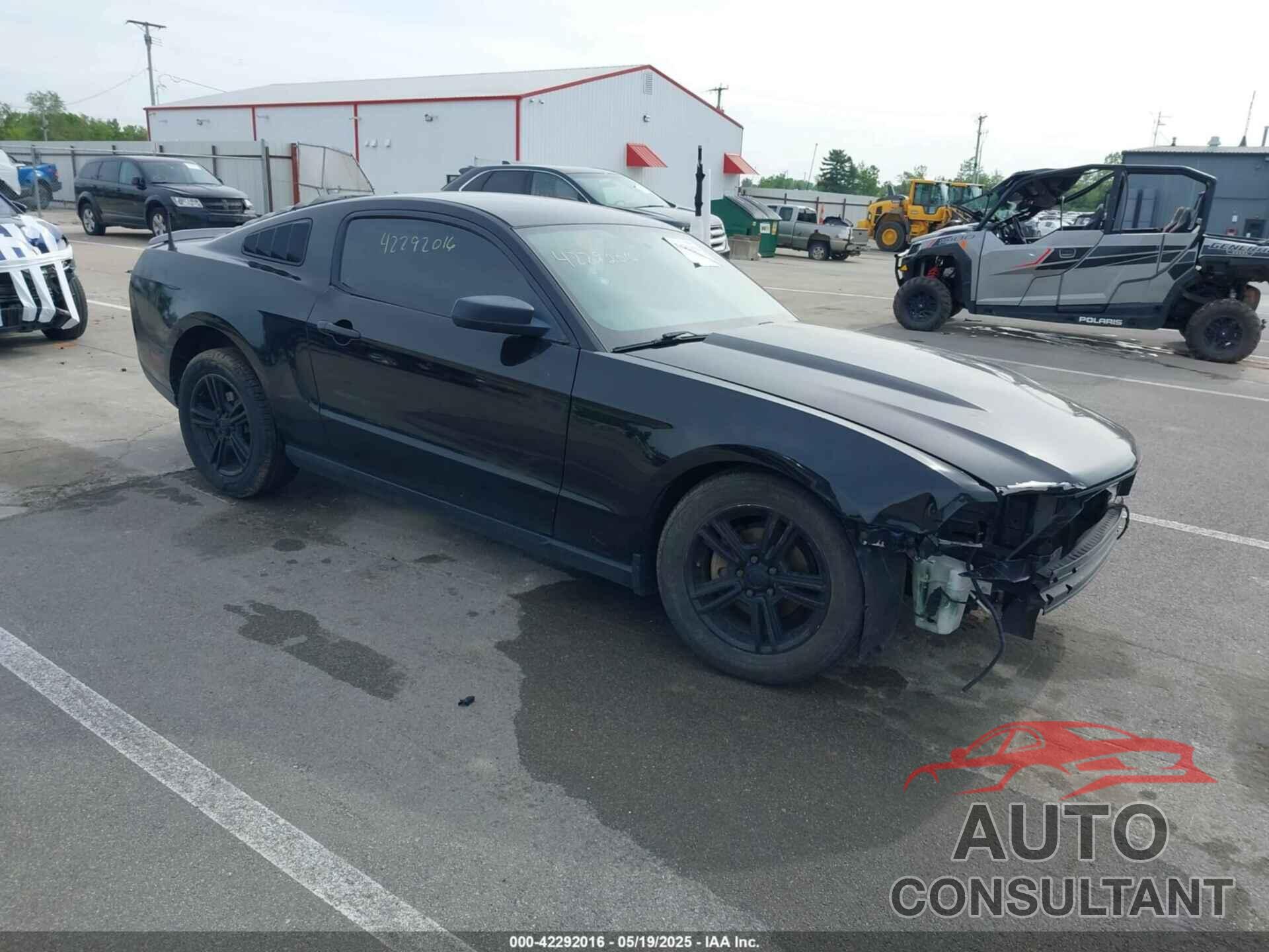 FORD MUSTANG 2010 - 1ZVBP8AN5A5181949