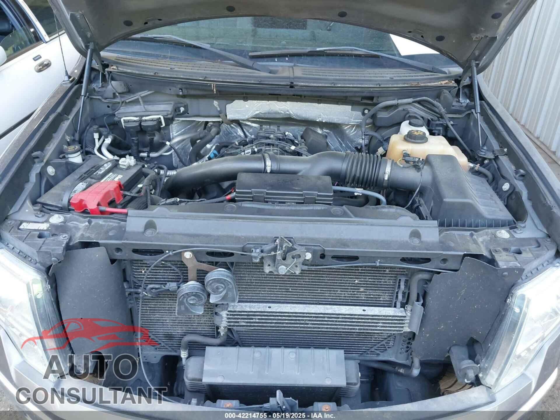 FORD F-150 2012 - 1FTFX1ET4CFA39058