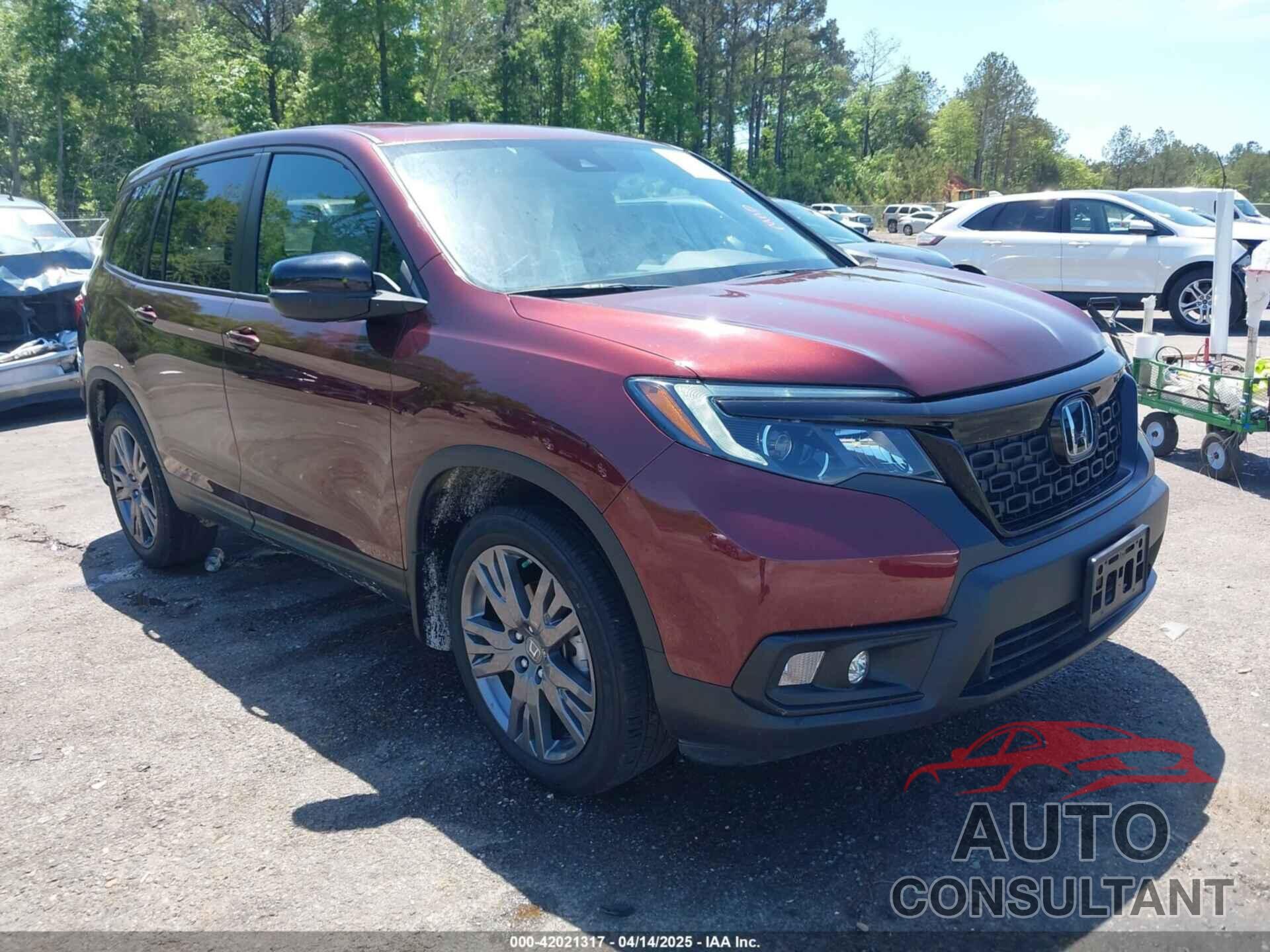HONDA PASSPORT 2019 - 5FNYF7H59KB009956