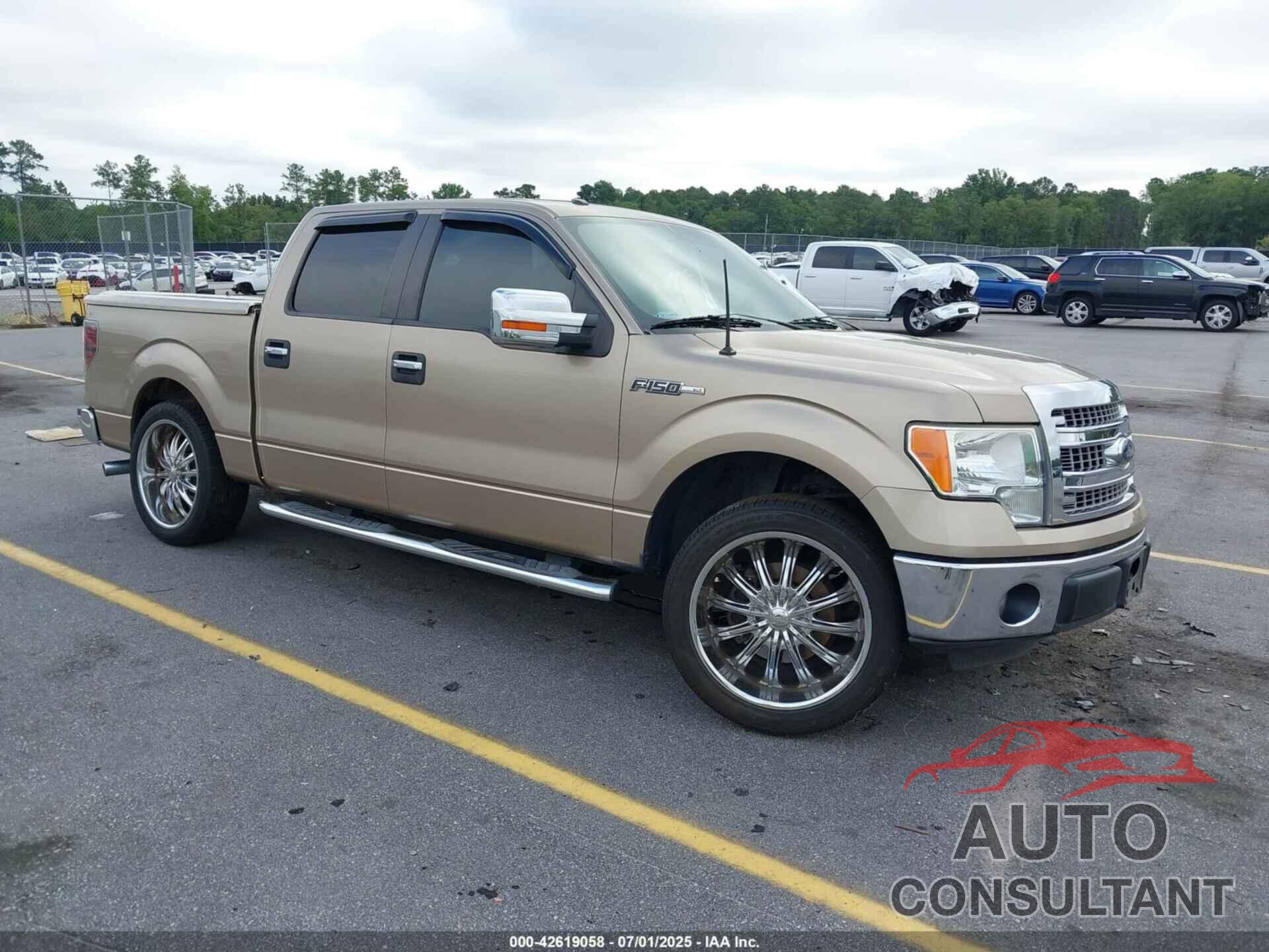 FORD F150 2013 - 1FTFW1CF8DKE38533