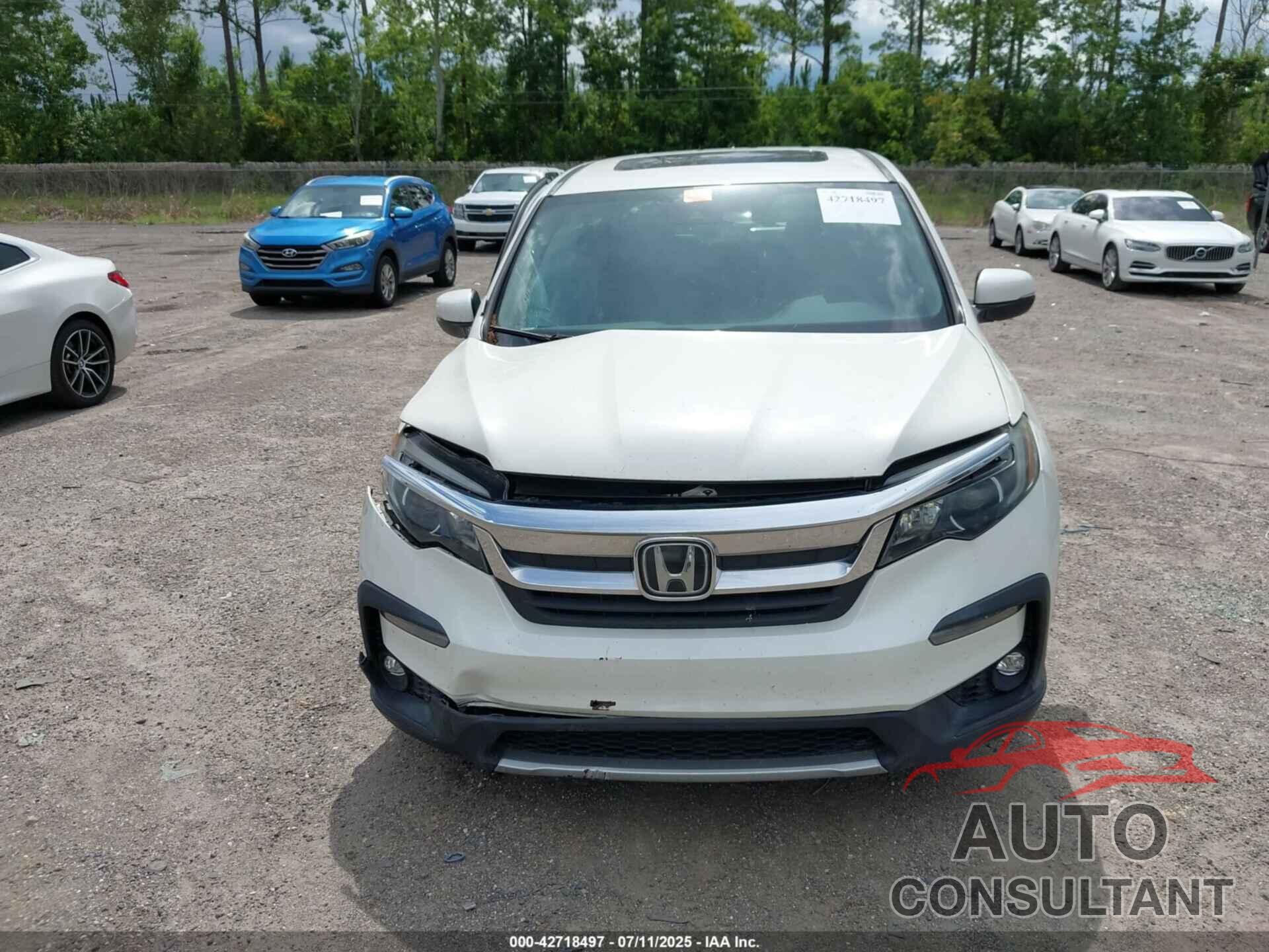 HONDA PILOT 2019 - 5FNYF6H49KB067552