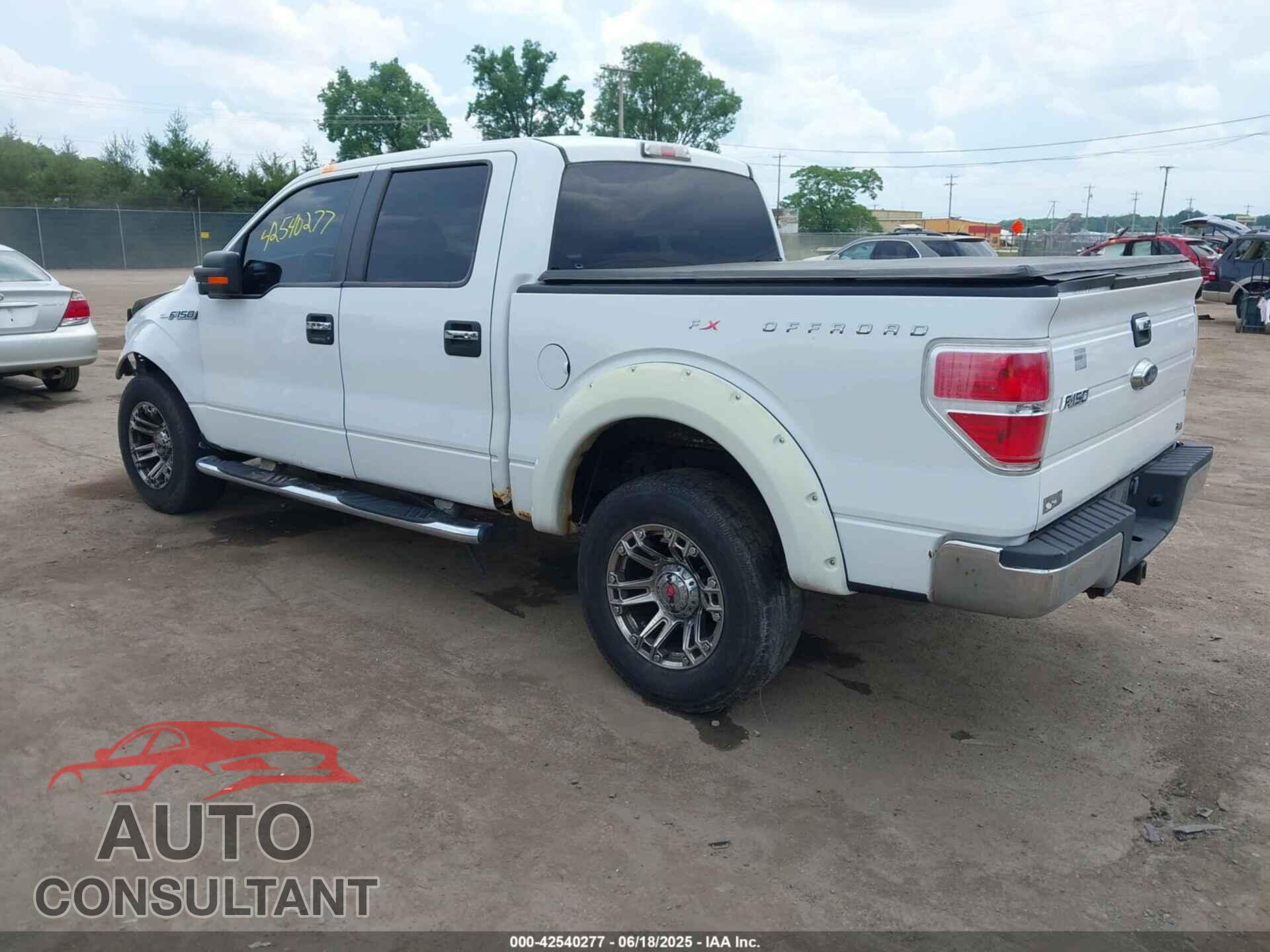 FORD F-150 2010 - 1FTFW1EV4AFB02726