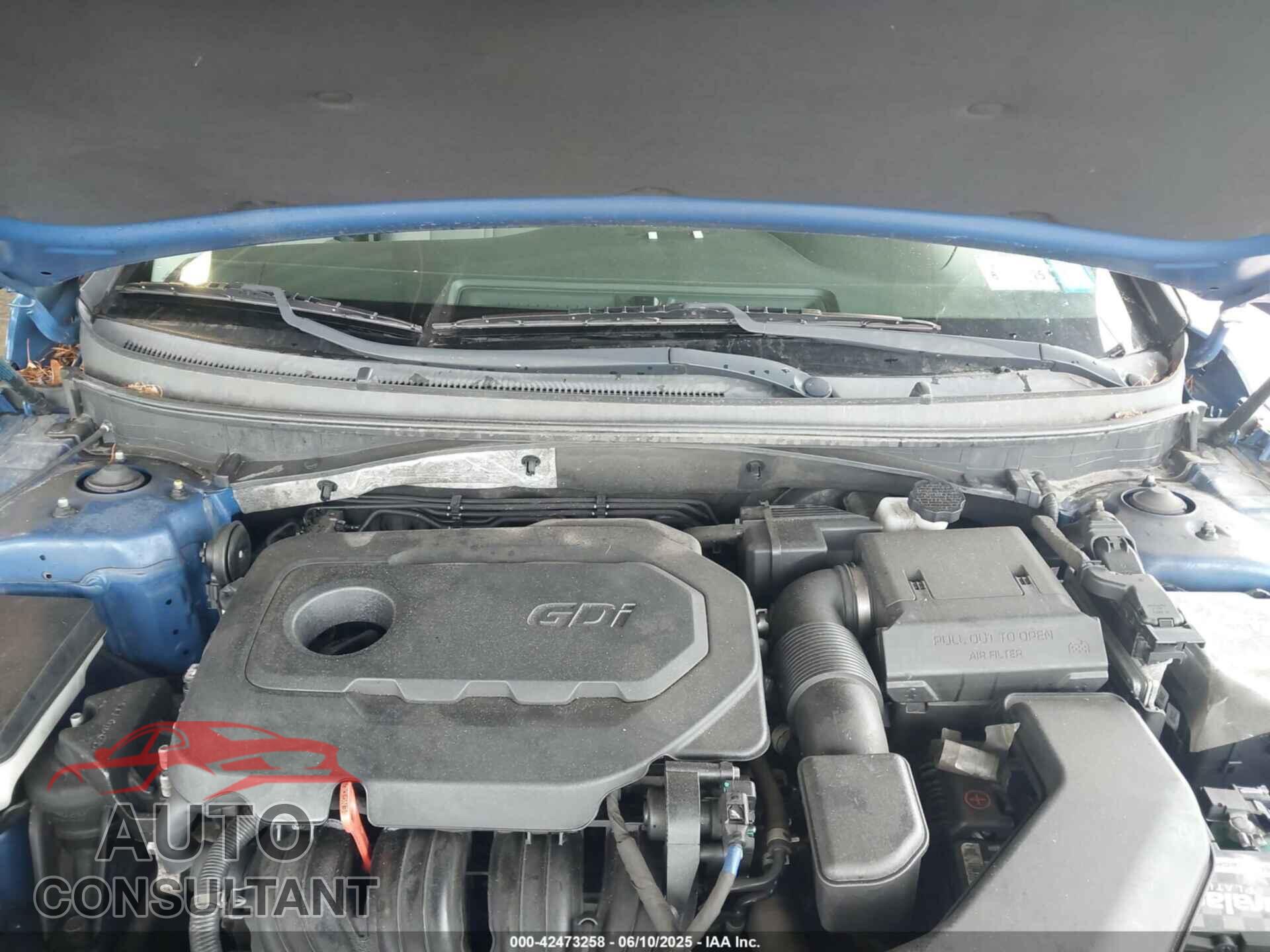 HYUNDAI SONATA 2019 - 5NPE34AF5KH785404
