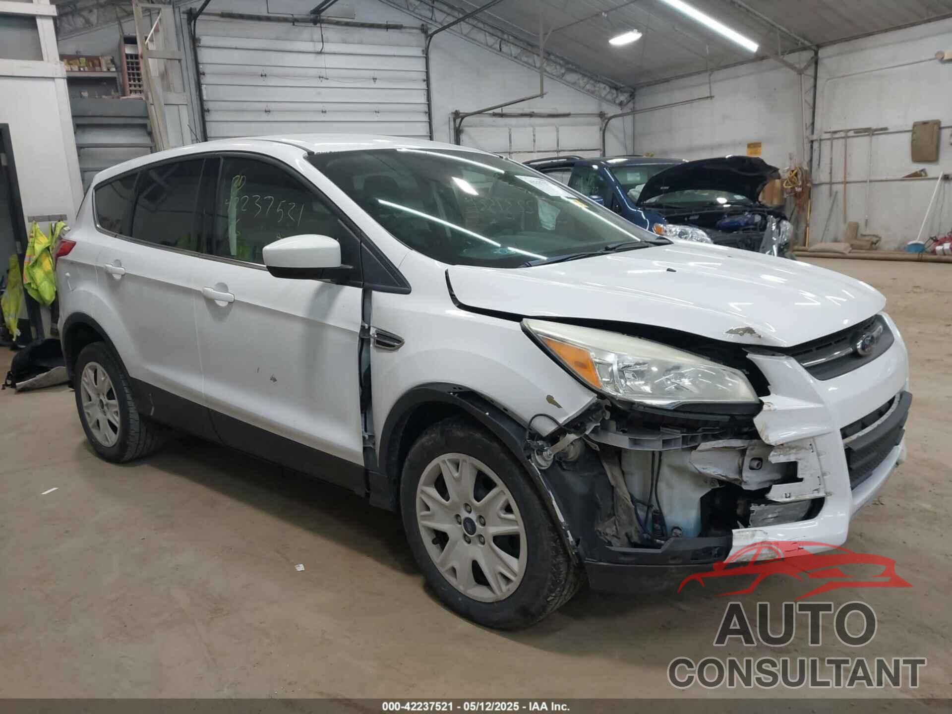 FORD ESCAPE 2016 - 1FMCU9GX9GUC61831